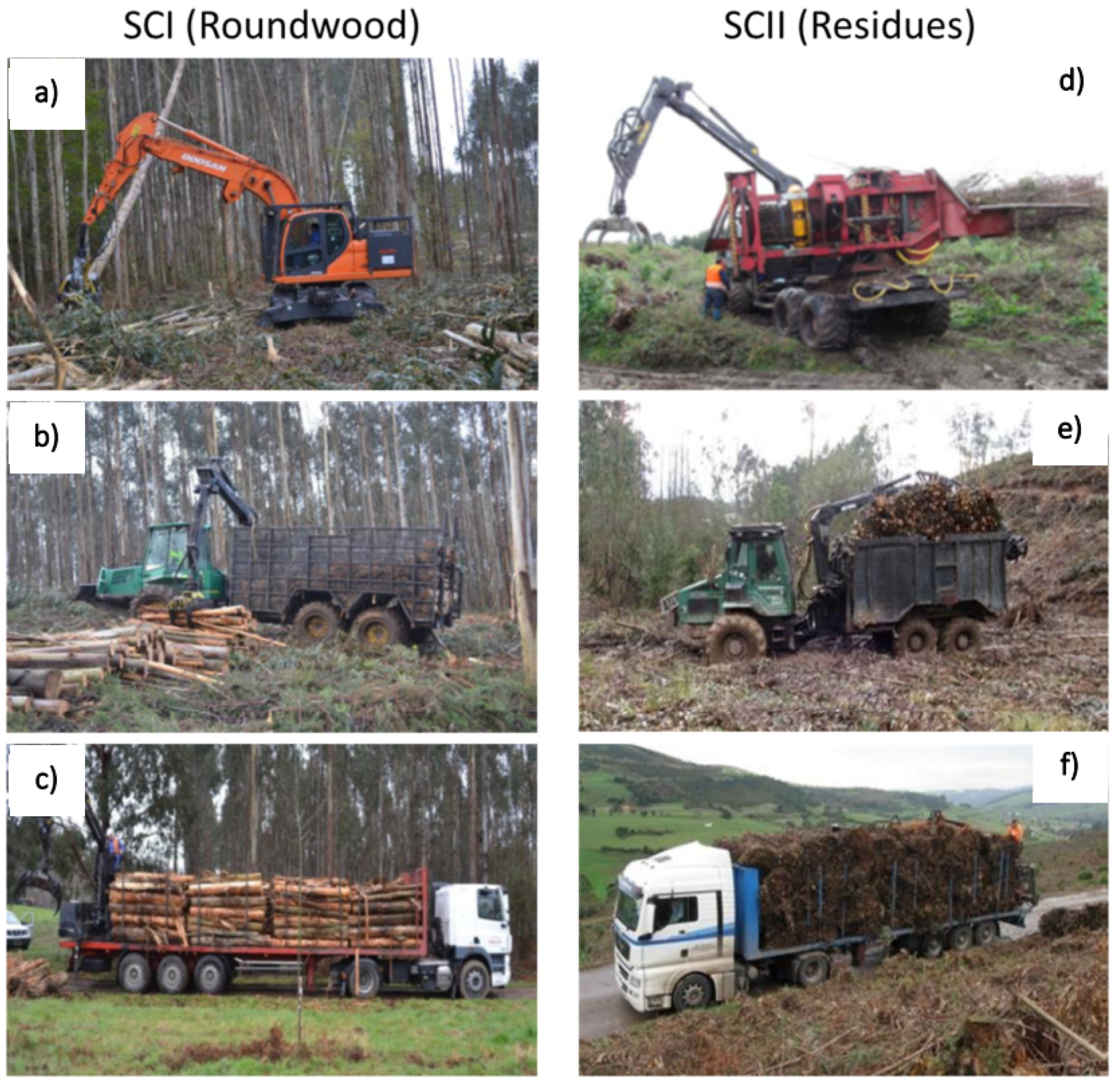 Forests 13 00701 g003