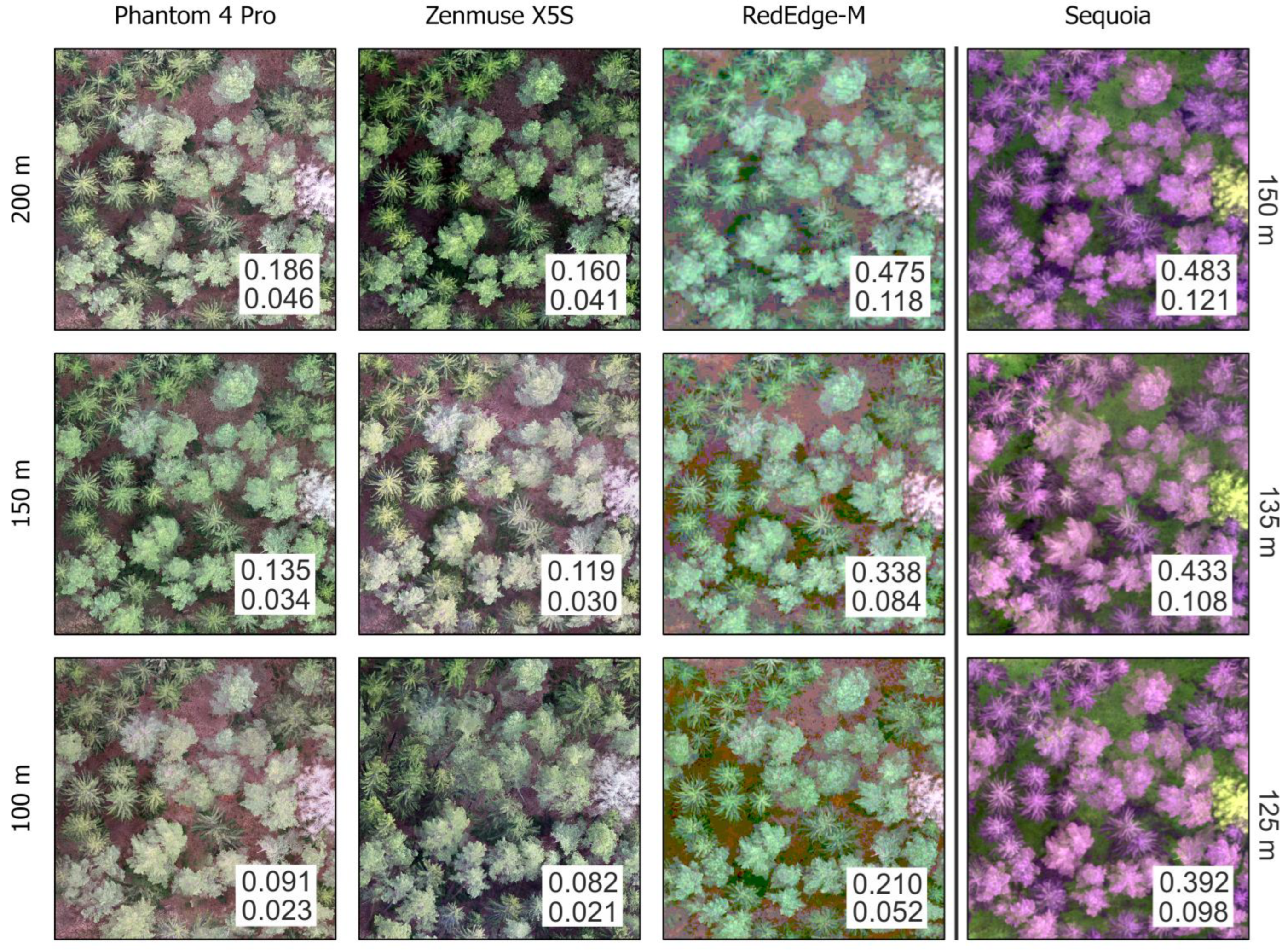 Forests 13 00710 g003