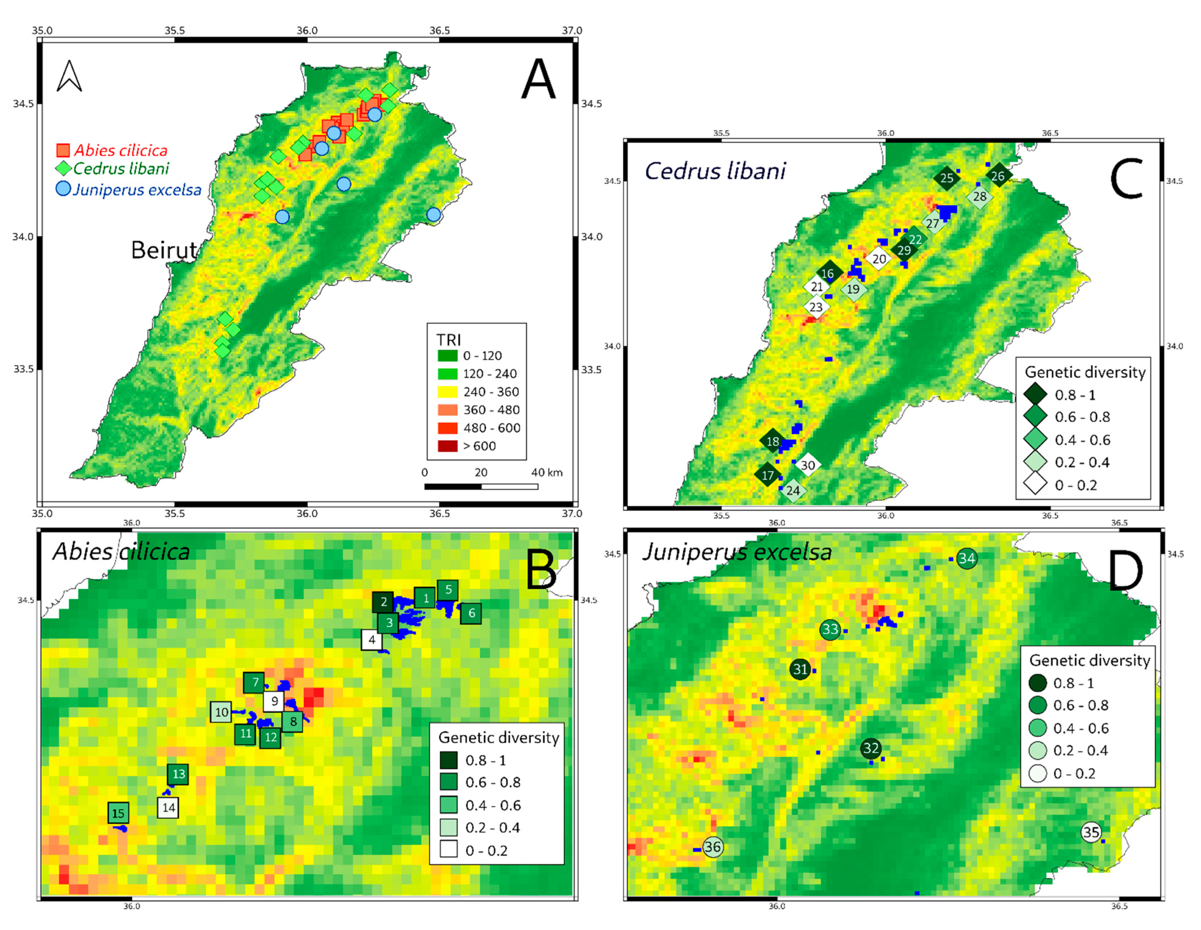 Forests 13 00711 g002