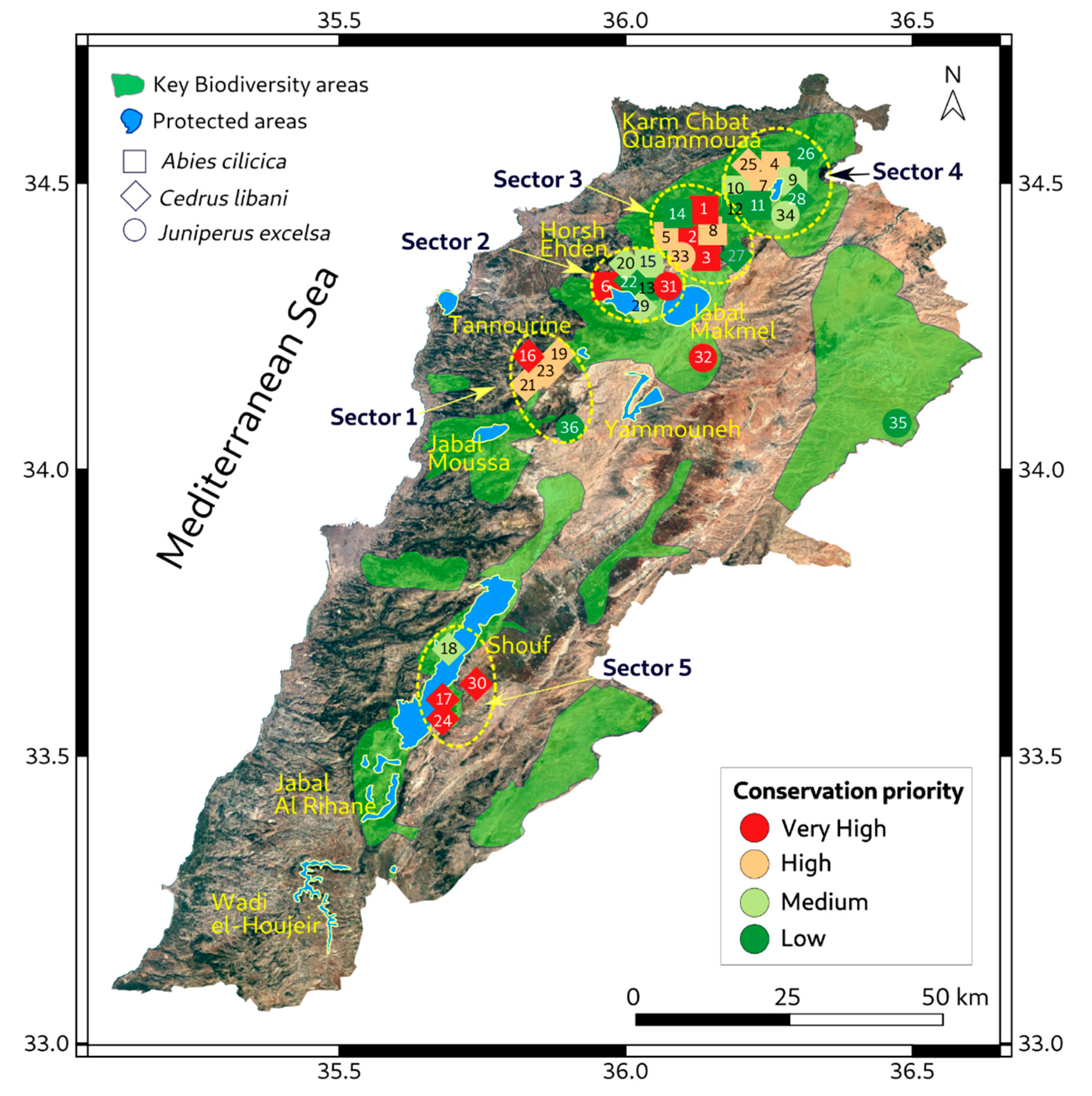 Forests 13 00711 g004
