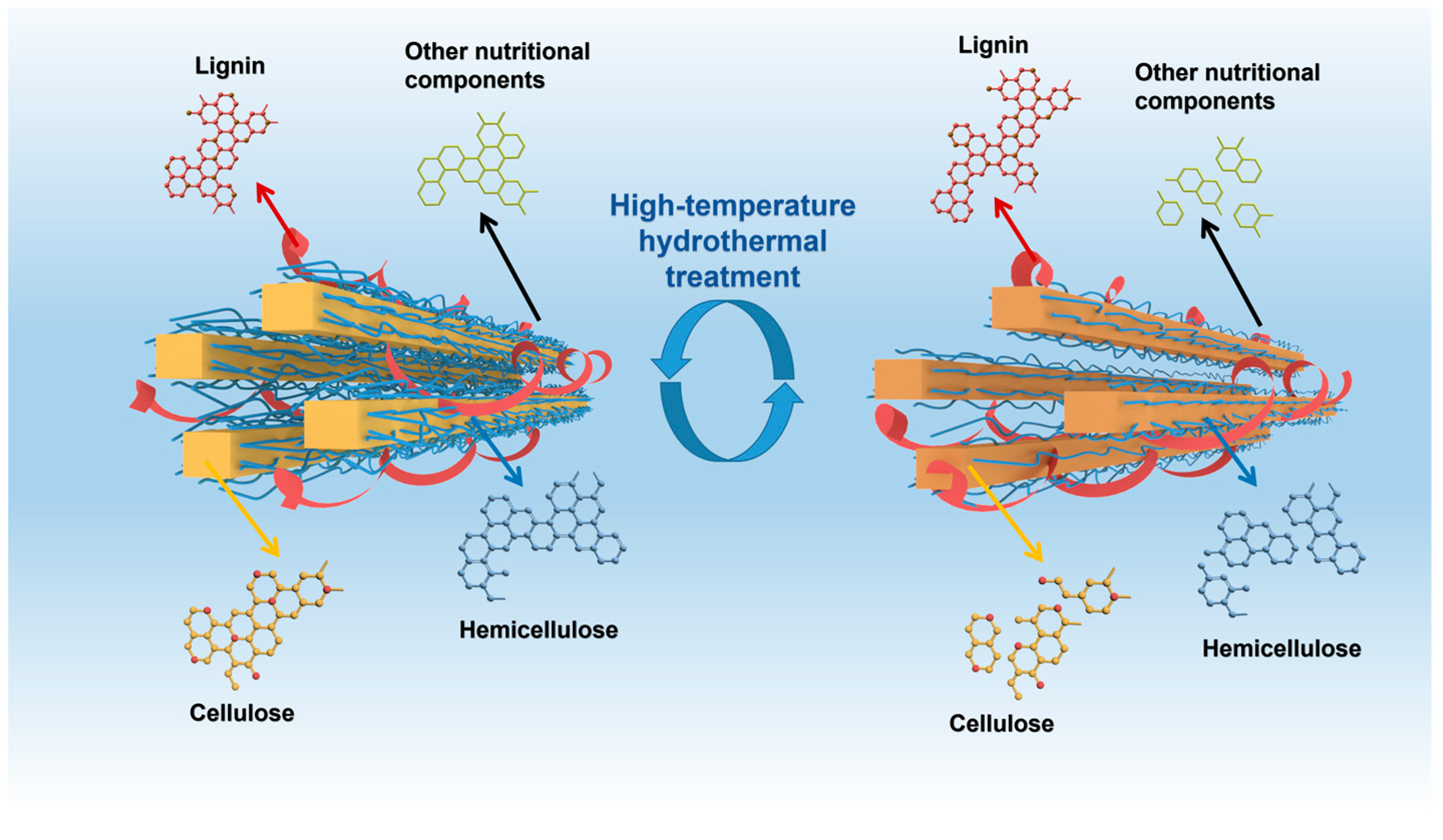 Forests 13 00712 g004