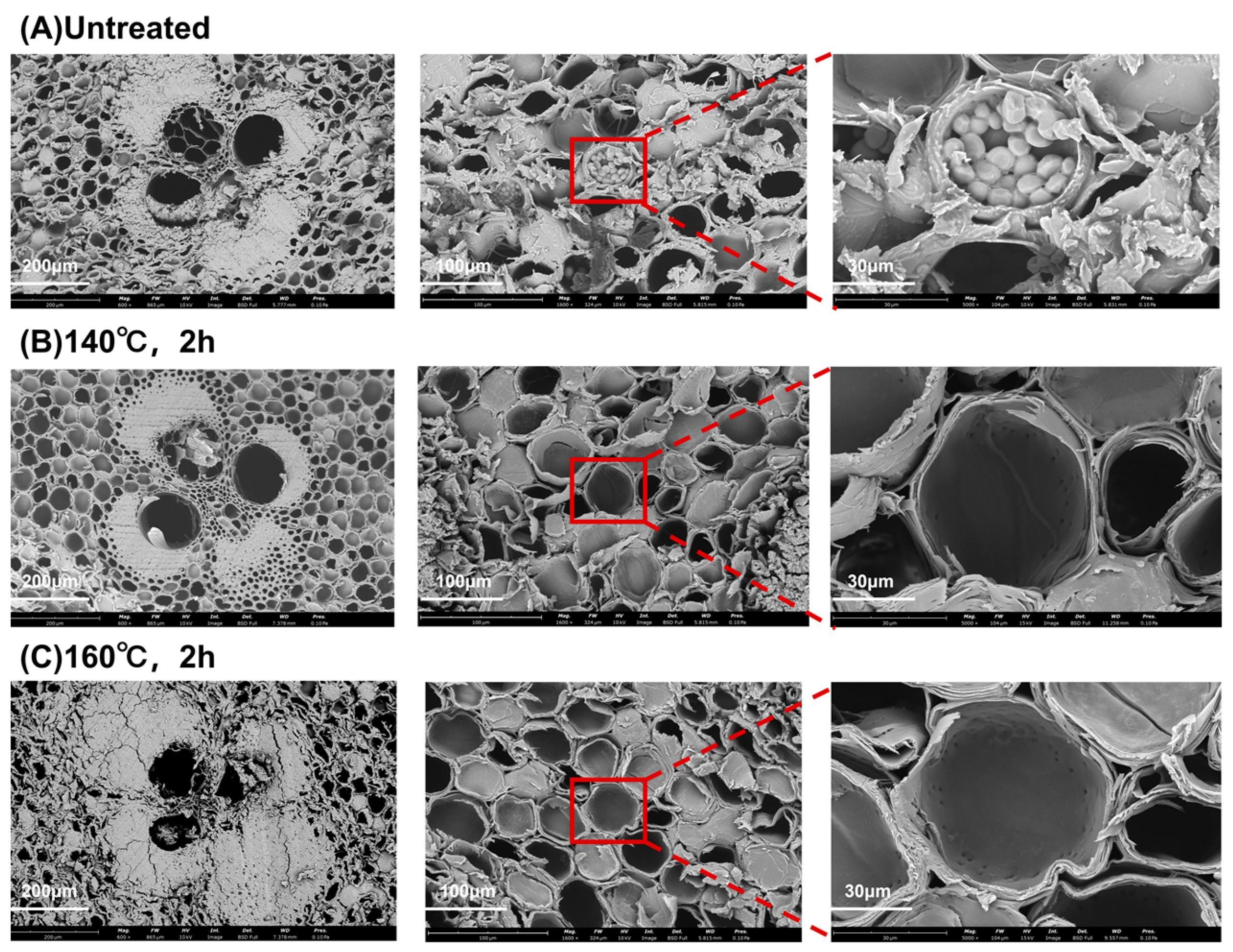 Forests 13 00712 g005