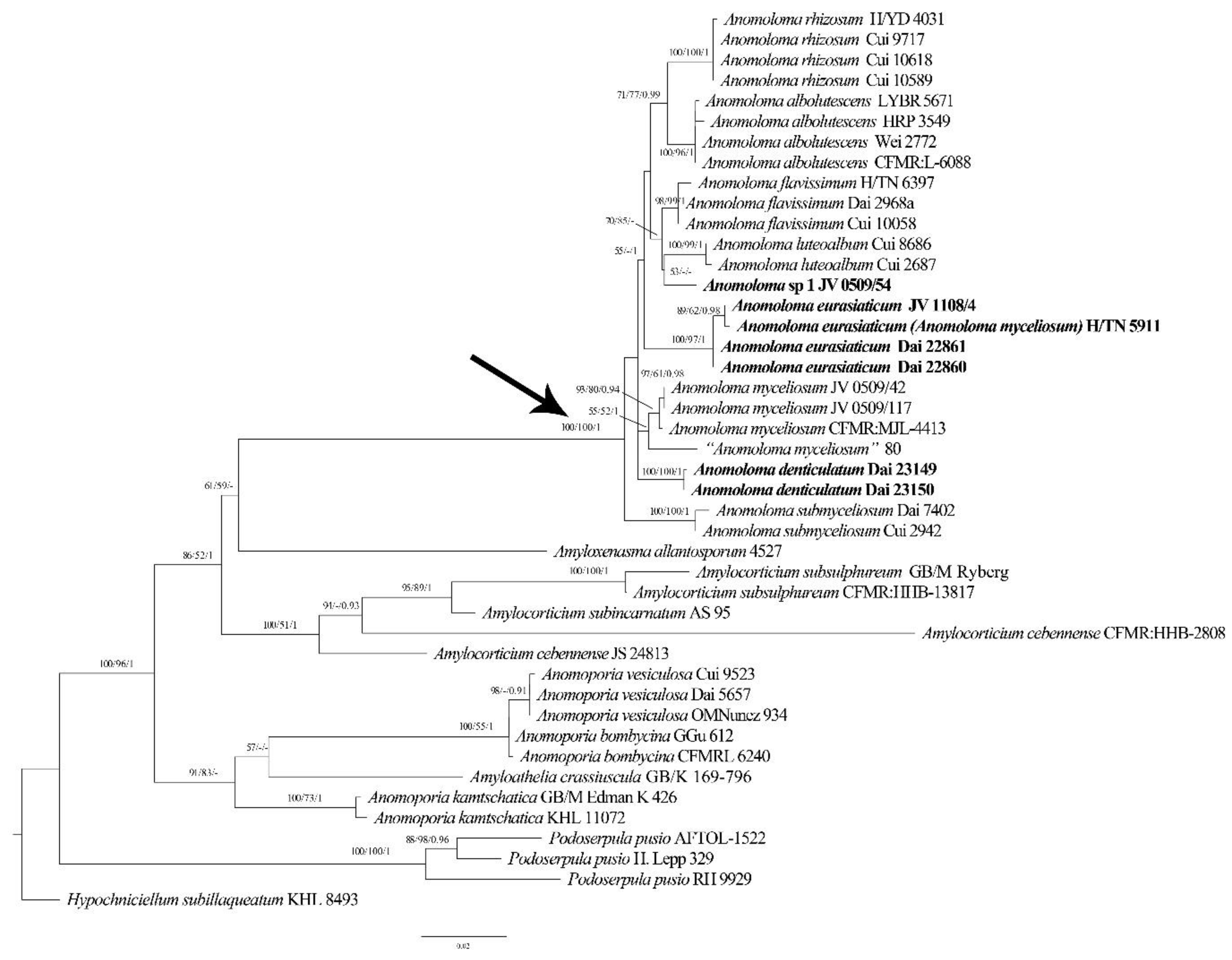 Forests 13 00713 g001