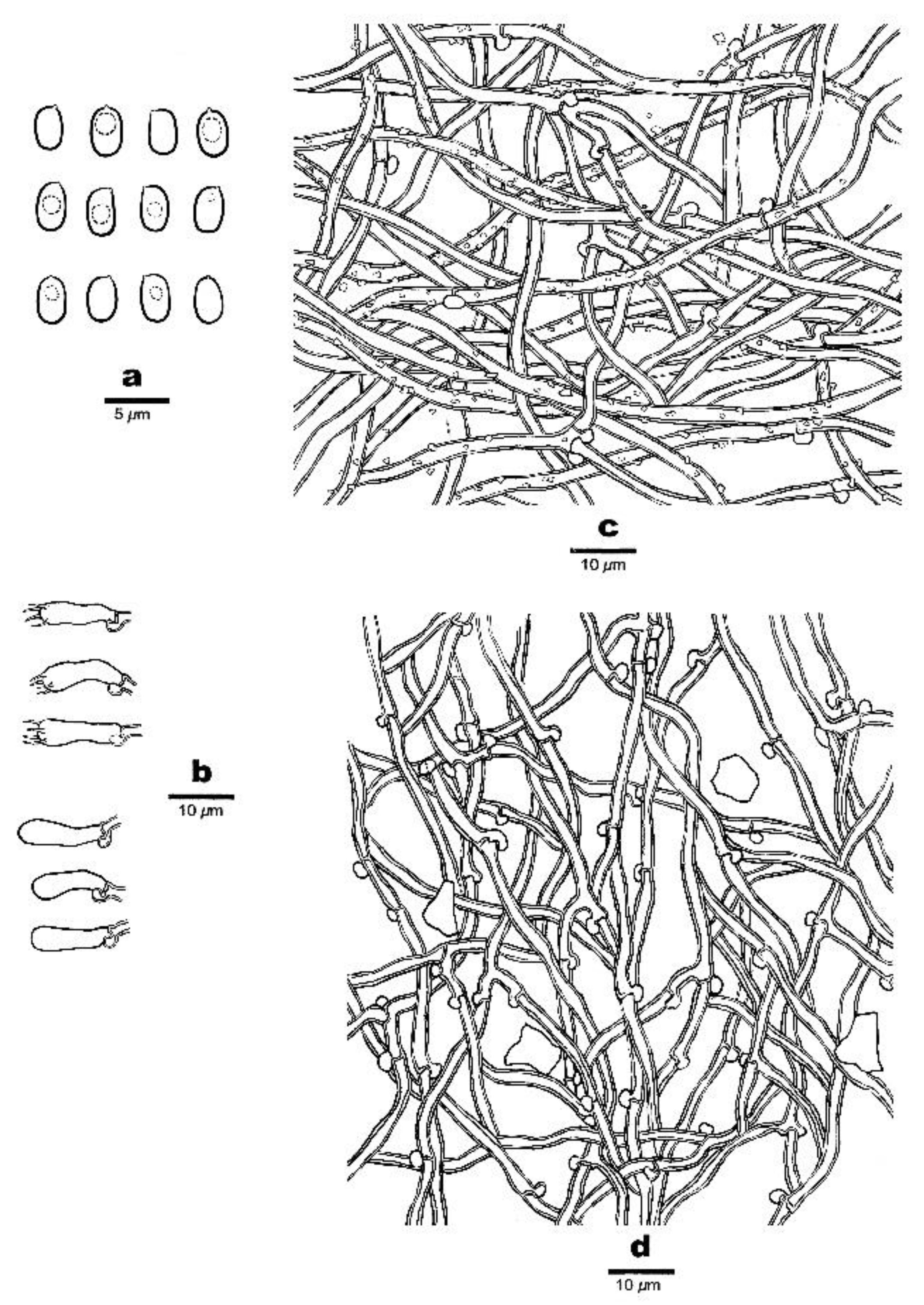 Forests 13 00713 g005