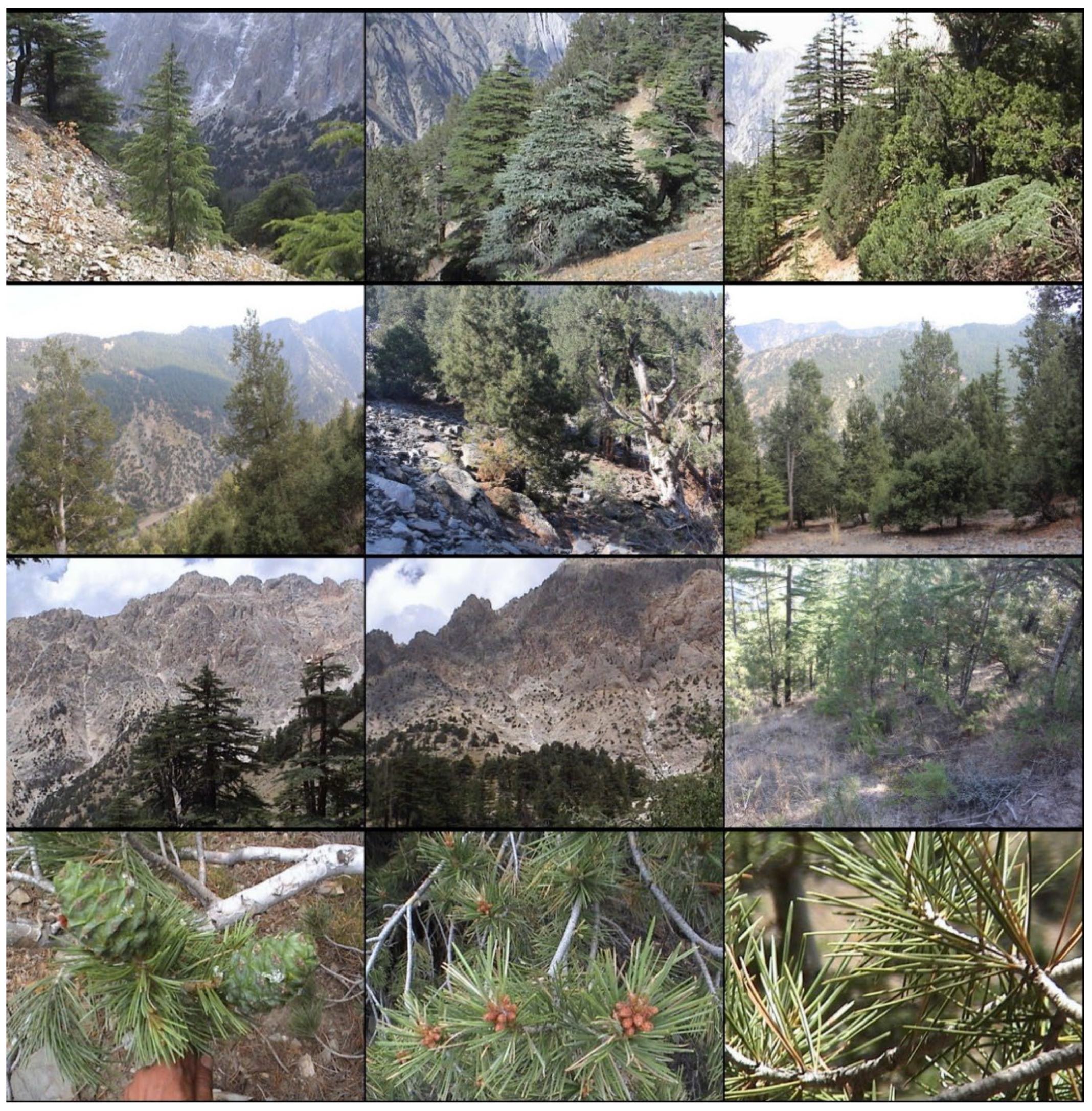 Forests 13 00715 g001 550