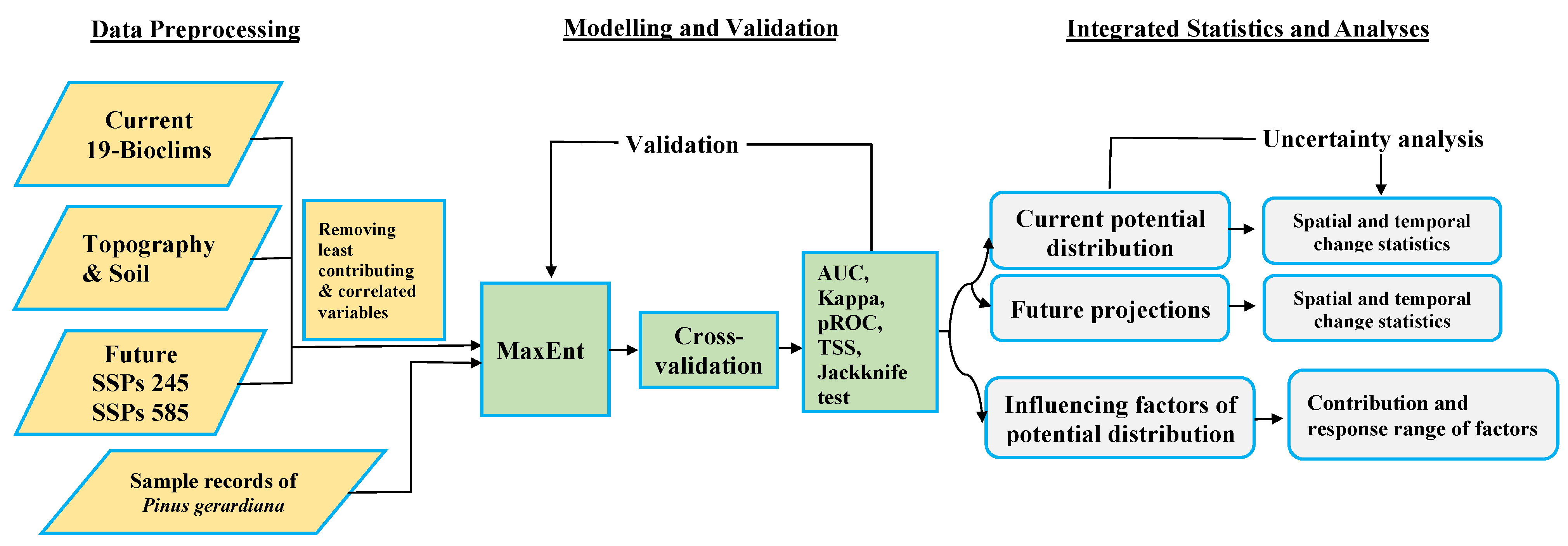 Forests 13 00715 g002 550