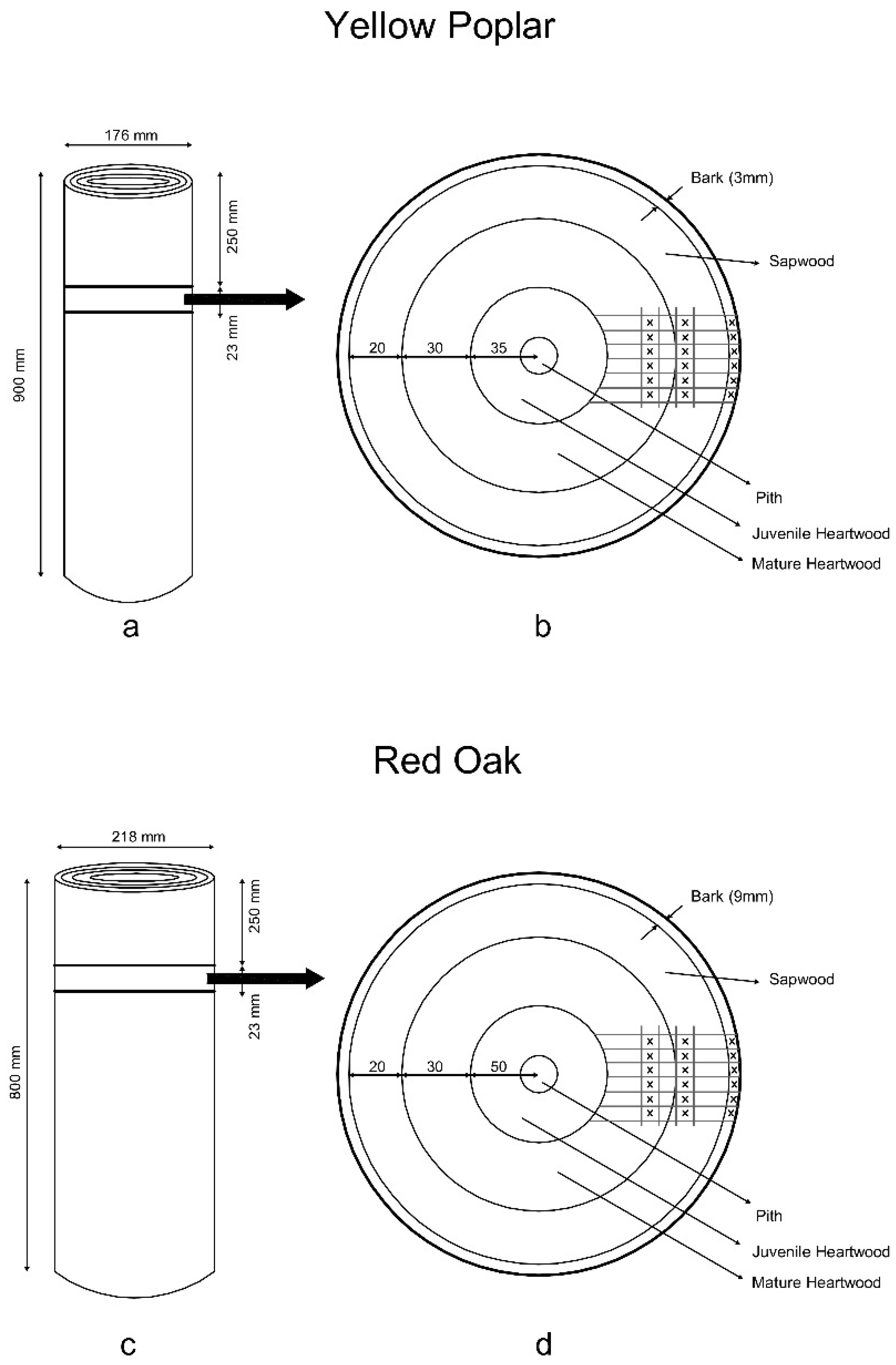 Forests 13 00722 g001 Forests 13 00722 g001