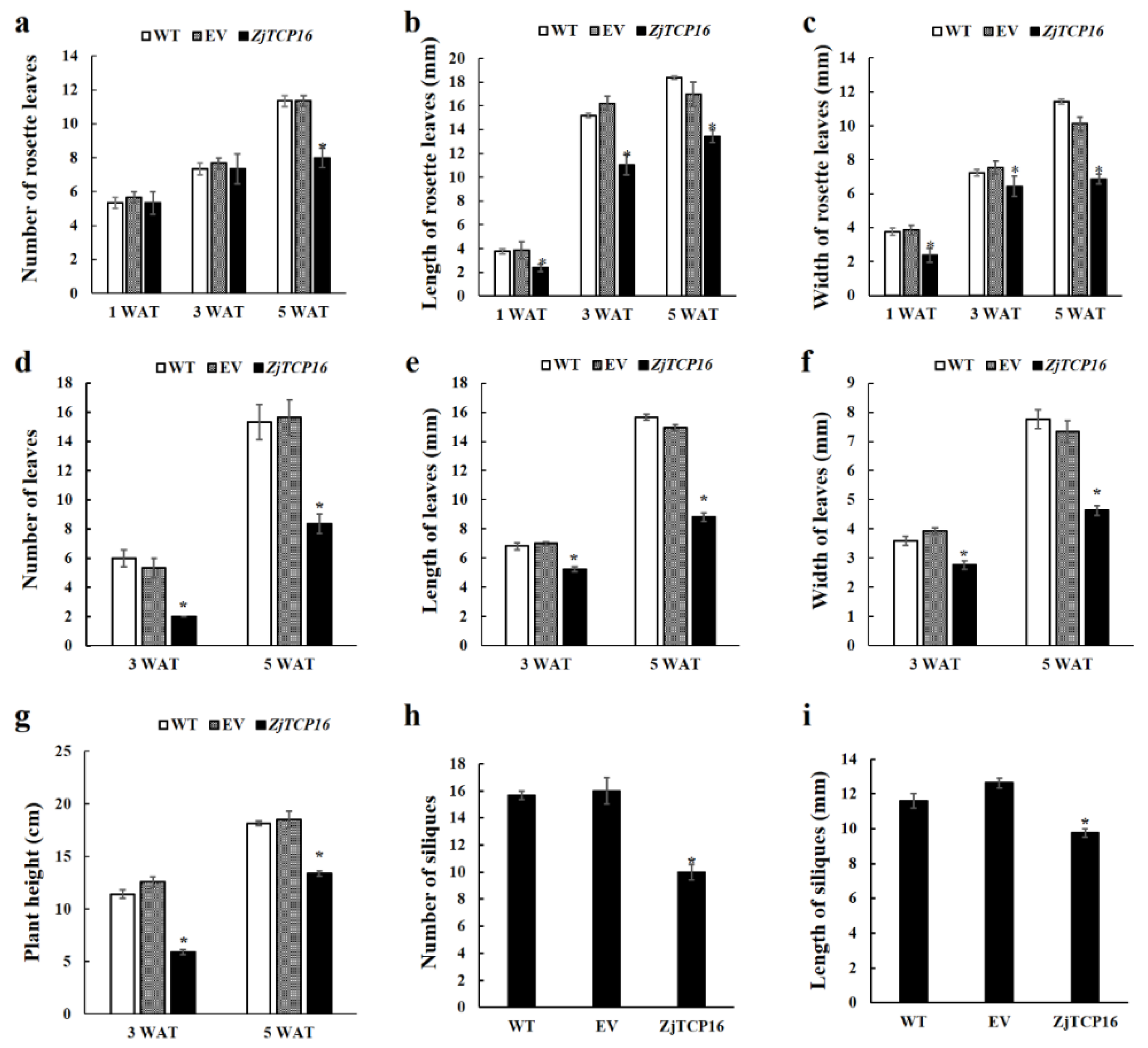 Forests 13 00723 g004