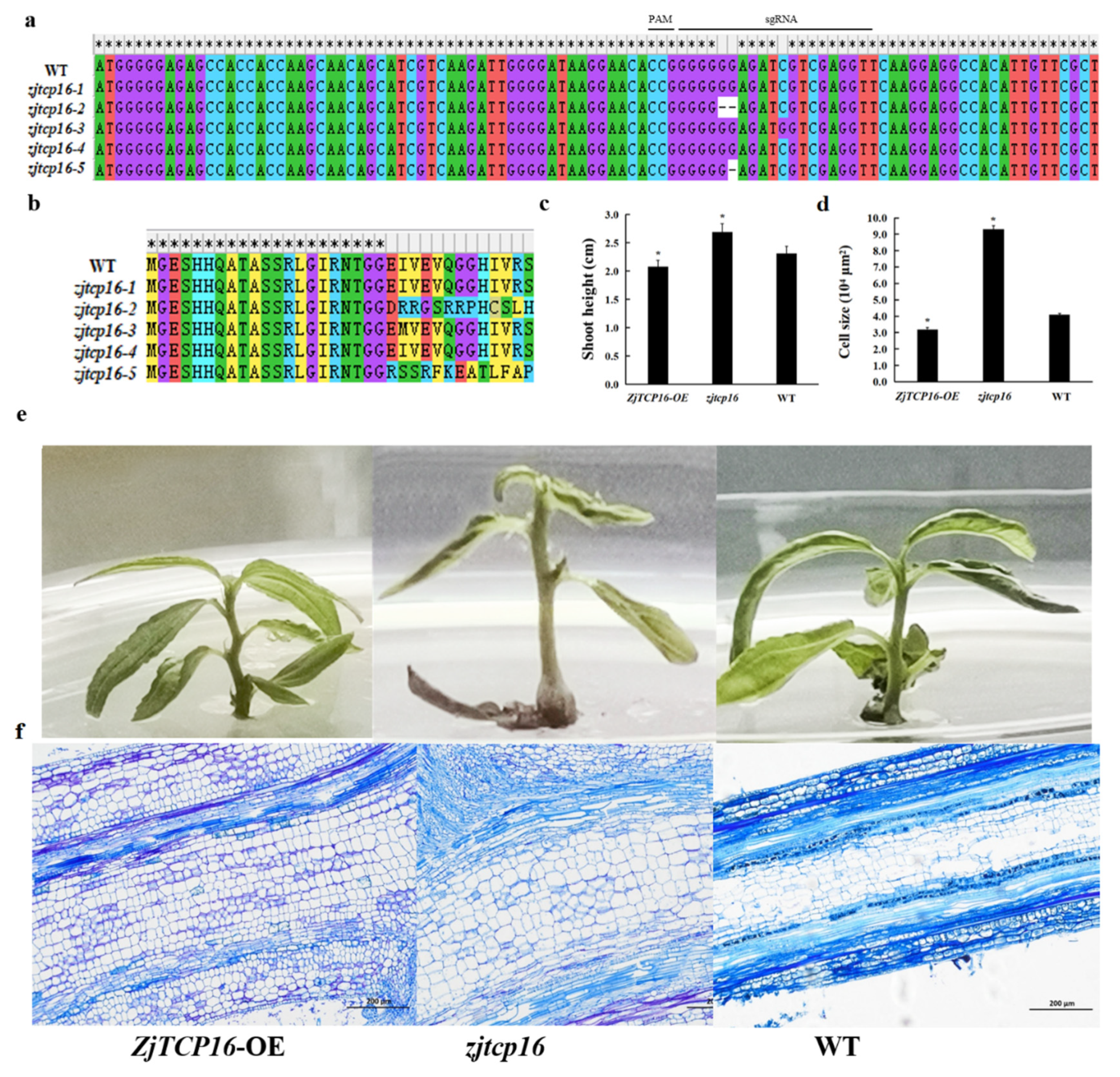 Forests 13 00723 g005