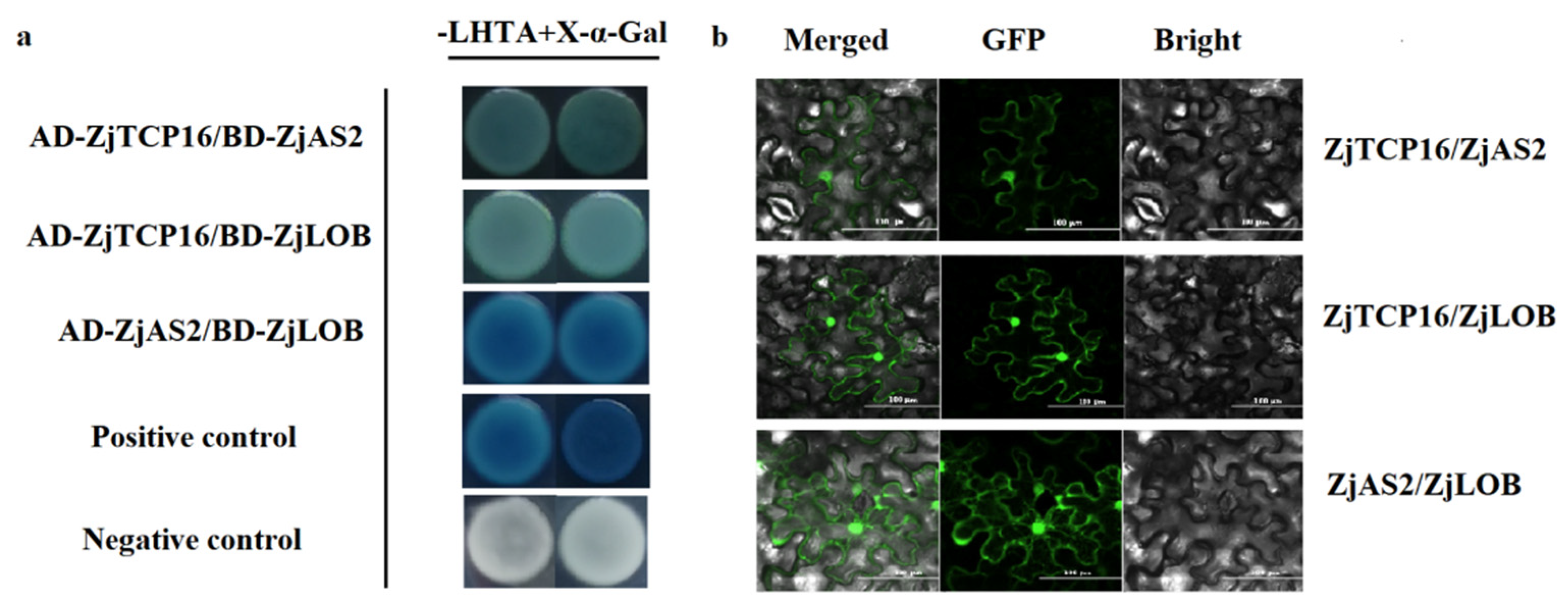 Forests 13 00723 g006