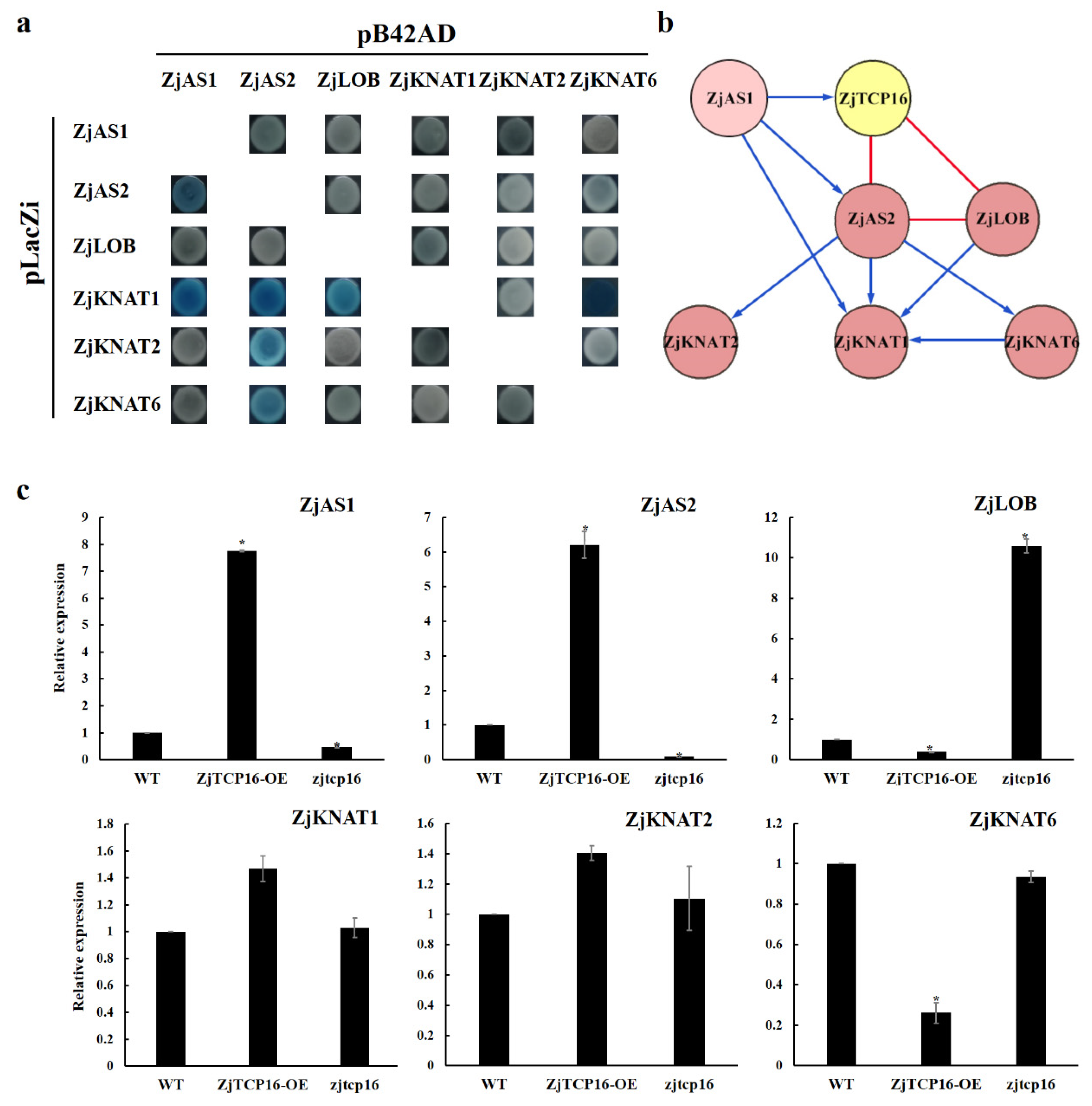 Forests 13 00723 g007