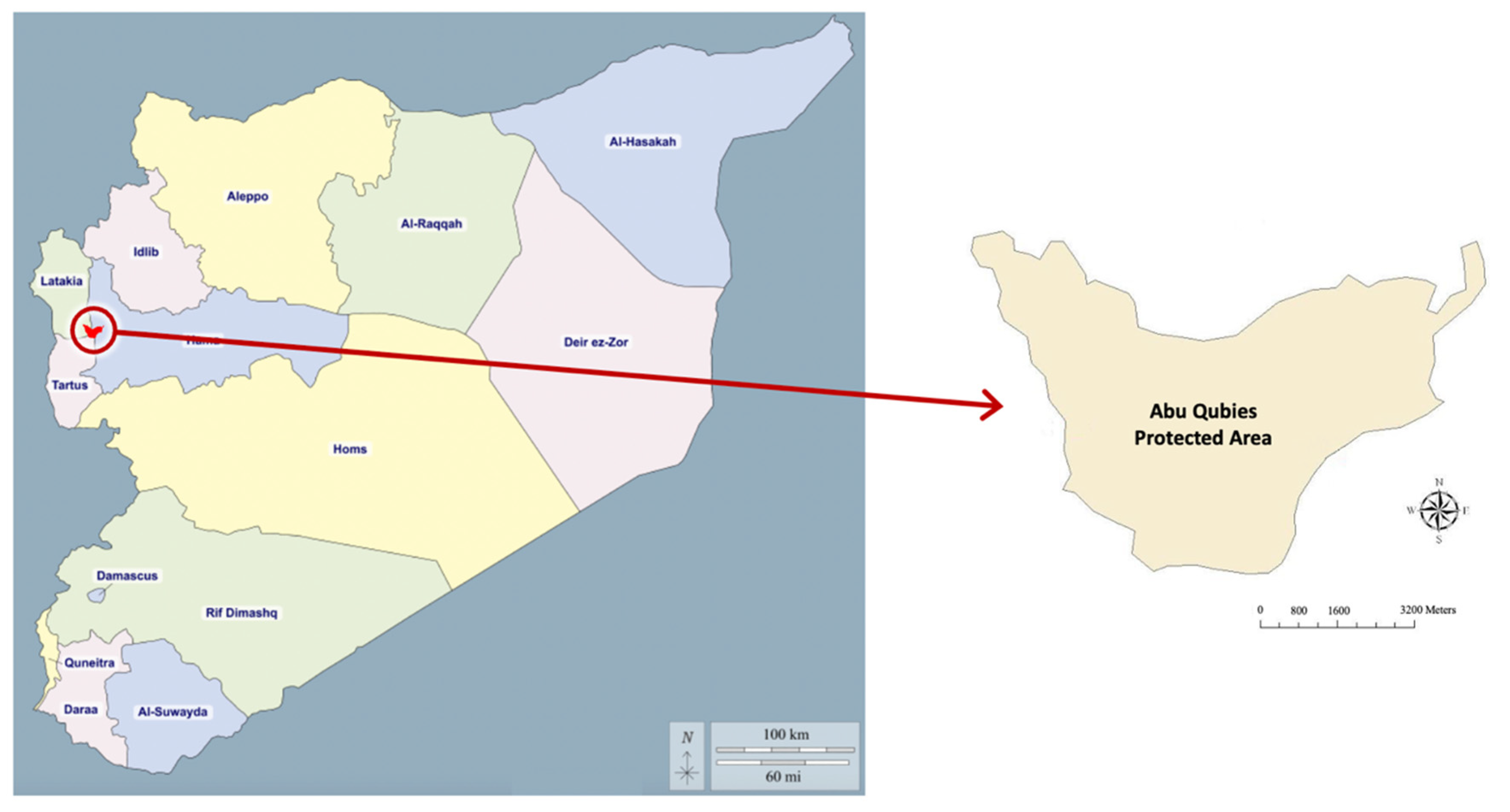 Forests 13 00727 g001