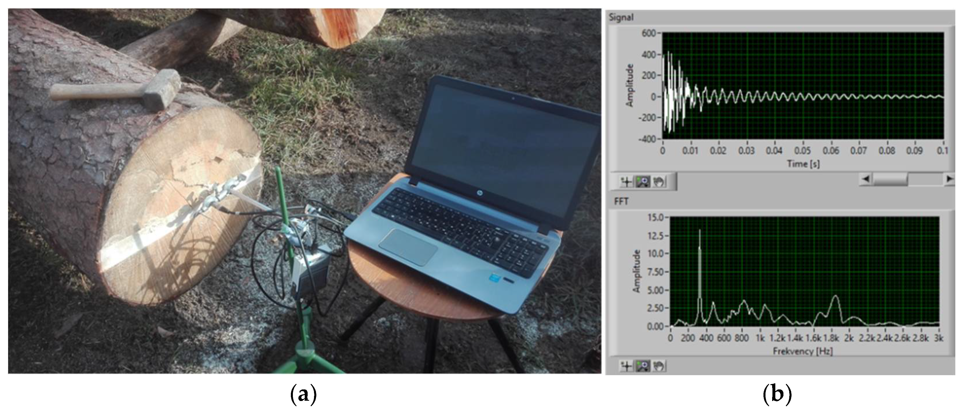 Forests 13 00729 g003 Forests 13 00729 g003