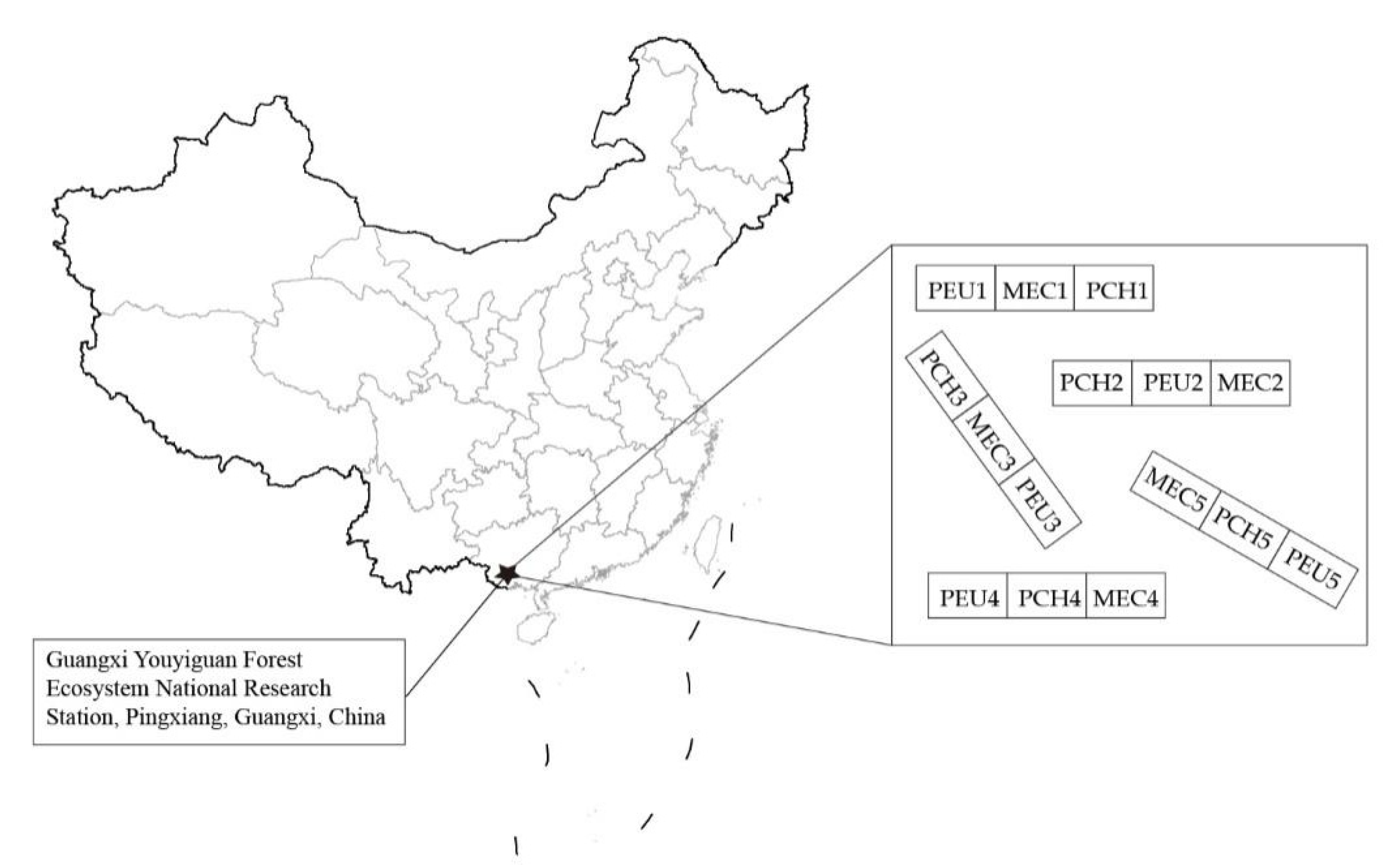 Forests 13 00733 g001 550