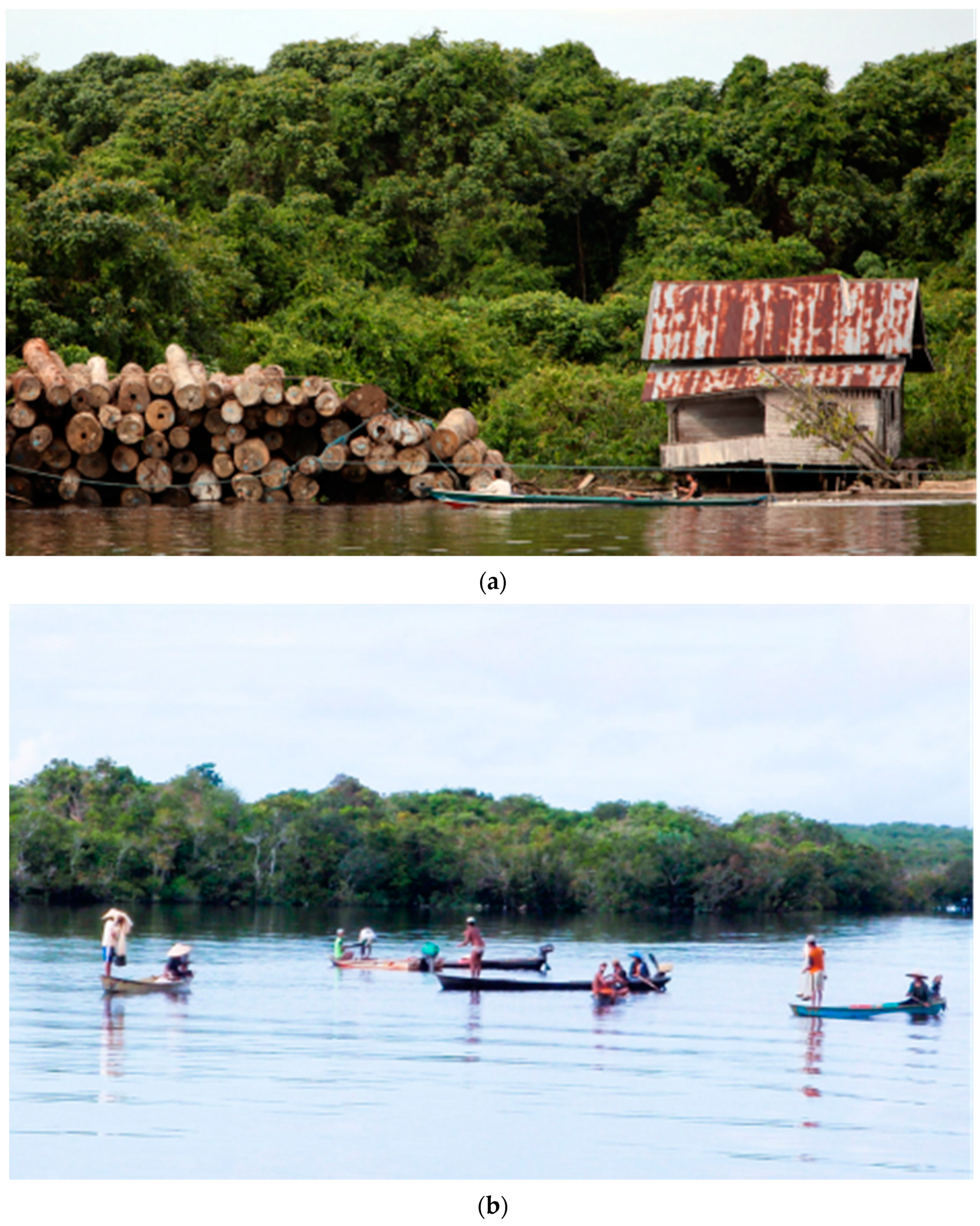 Forests 13 00734 g008