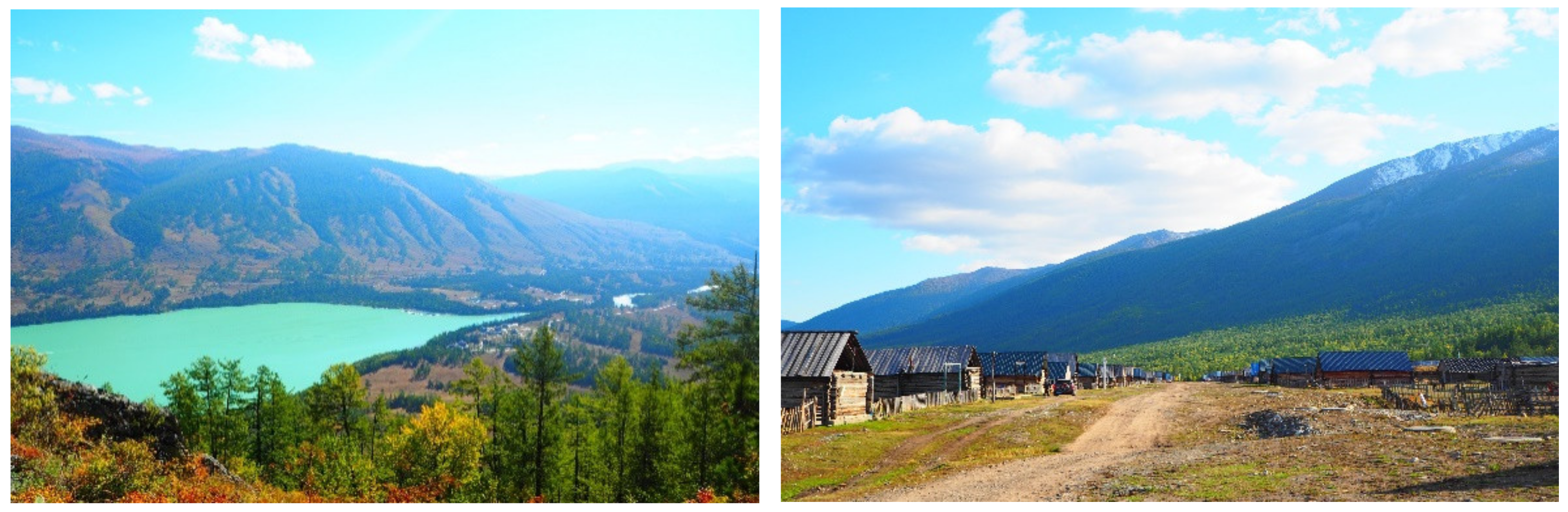 Forests 13 00750 g002