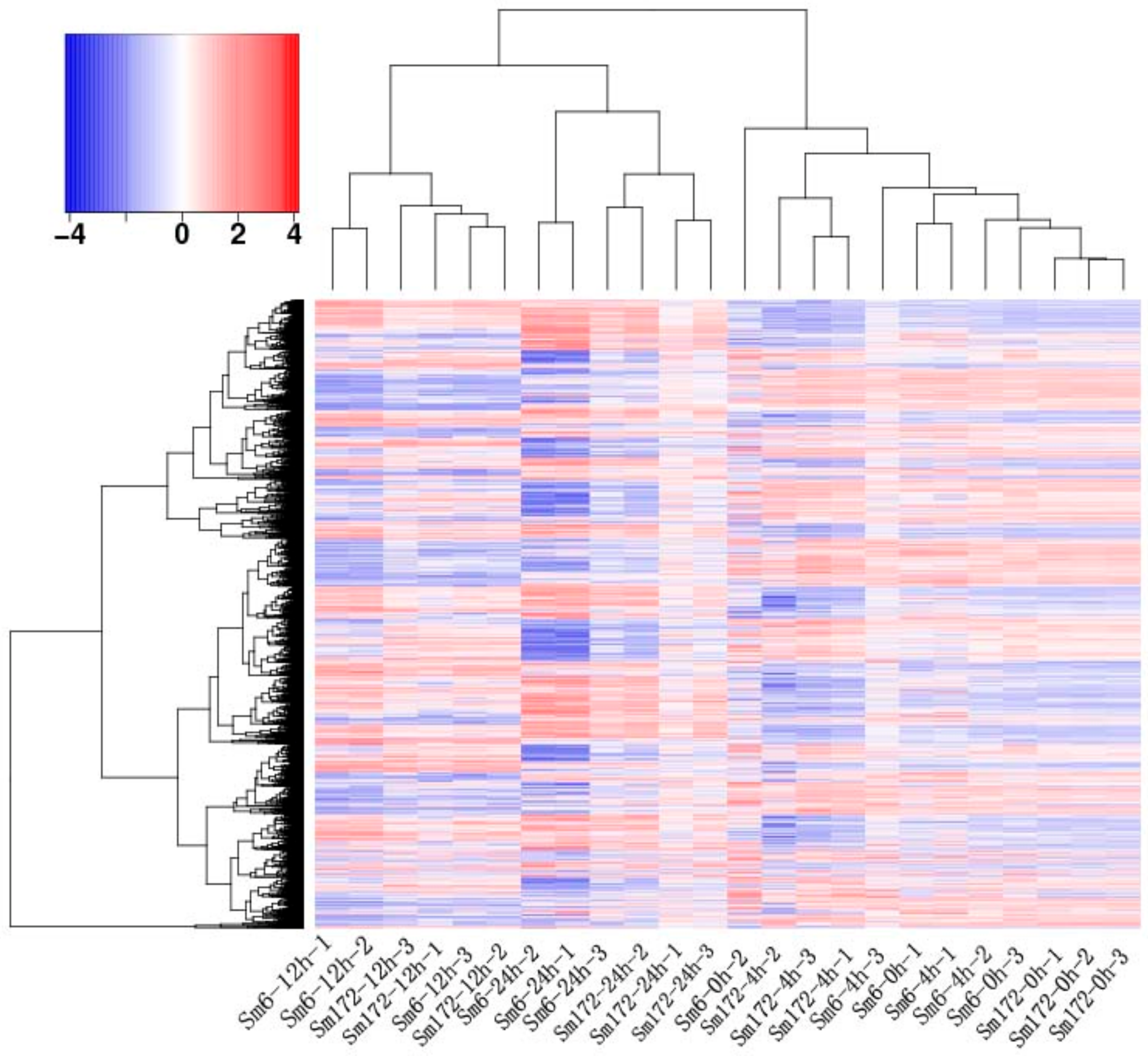 Forests 13 00754 g001 550