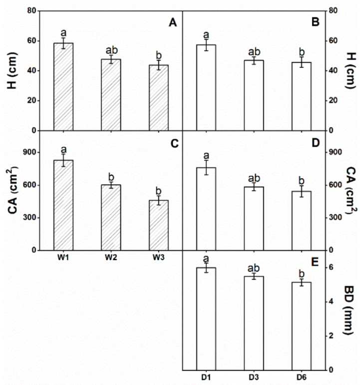 Forests 13 00762 g003 550