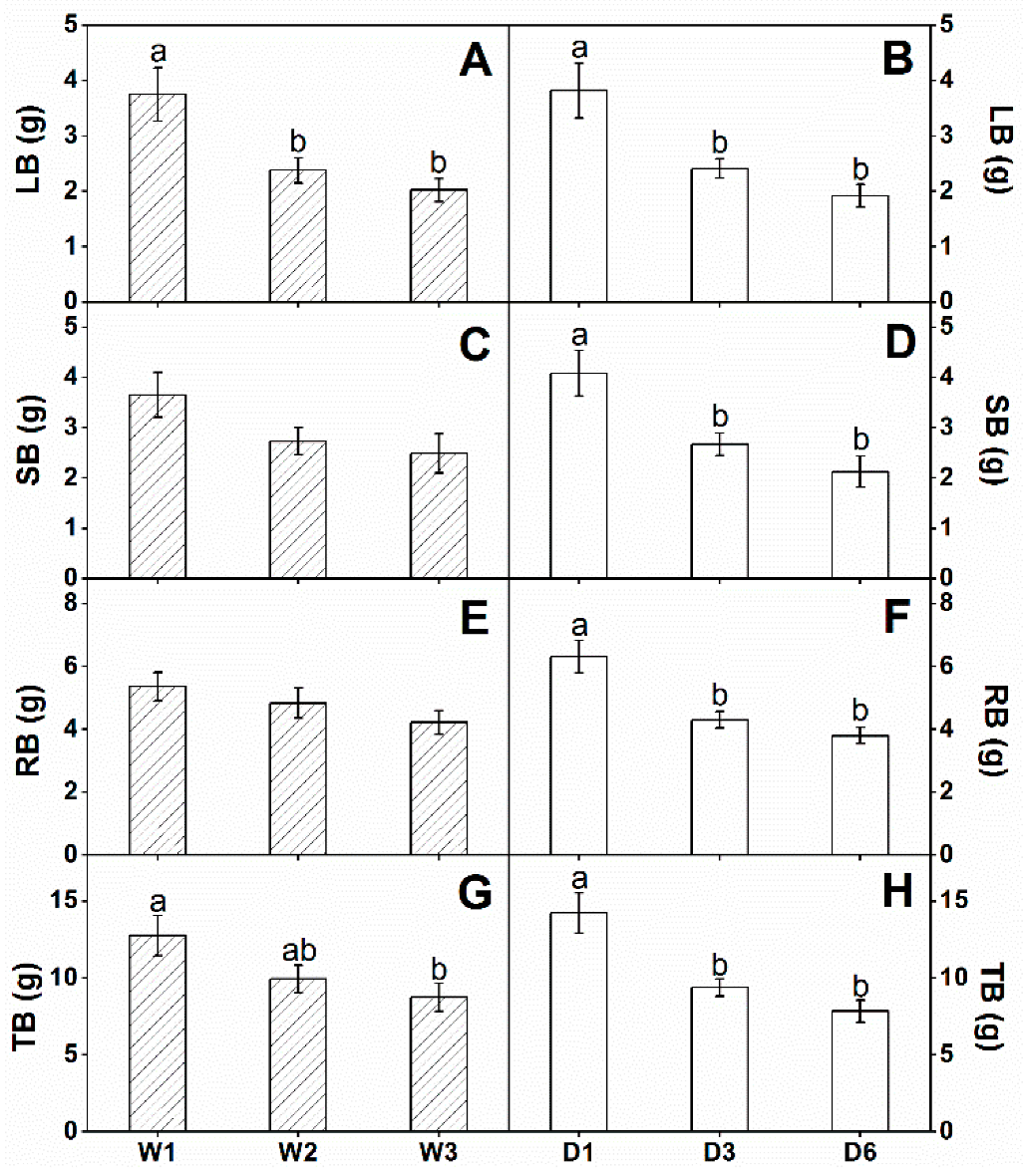Forests 13 00762 g005 550