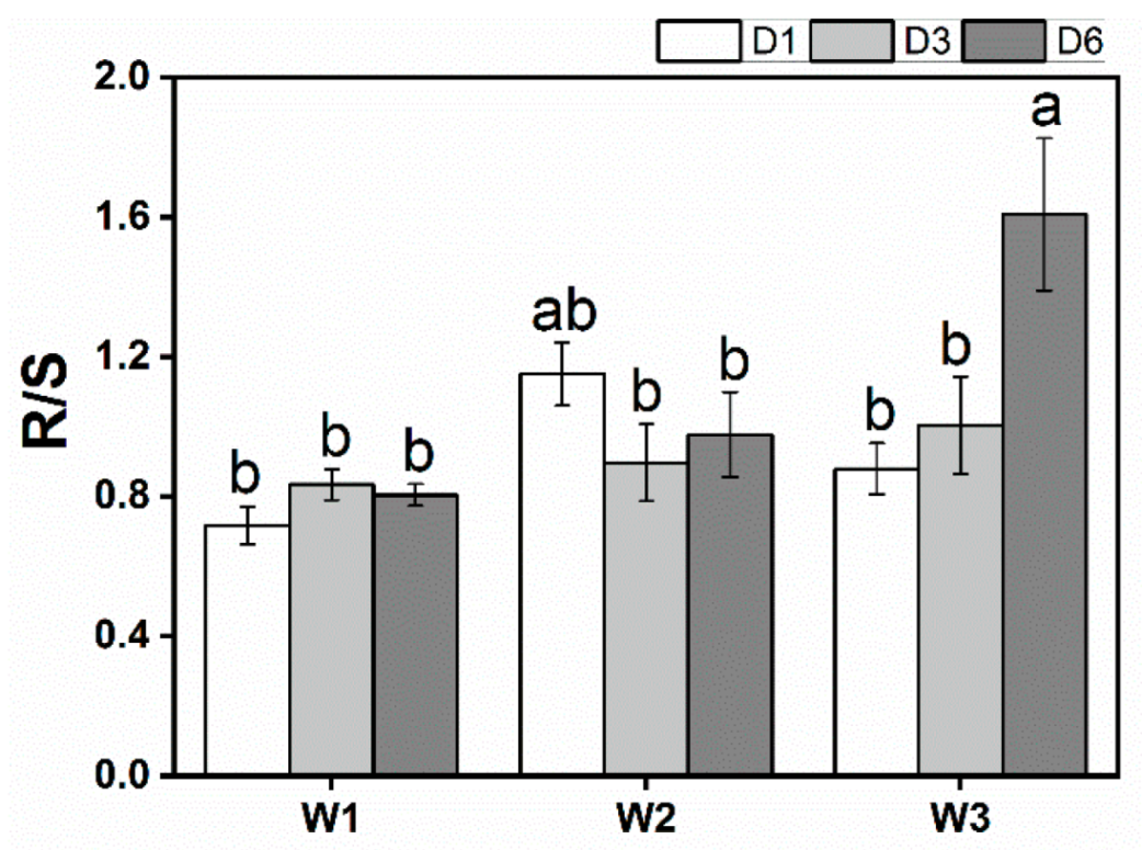 Forests 13 00762 g006 550