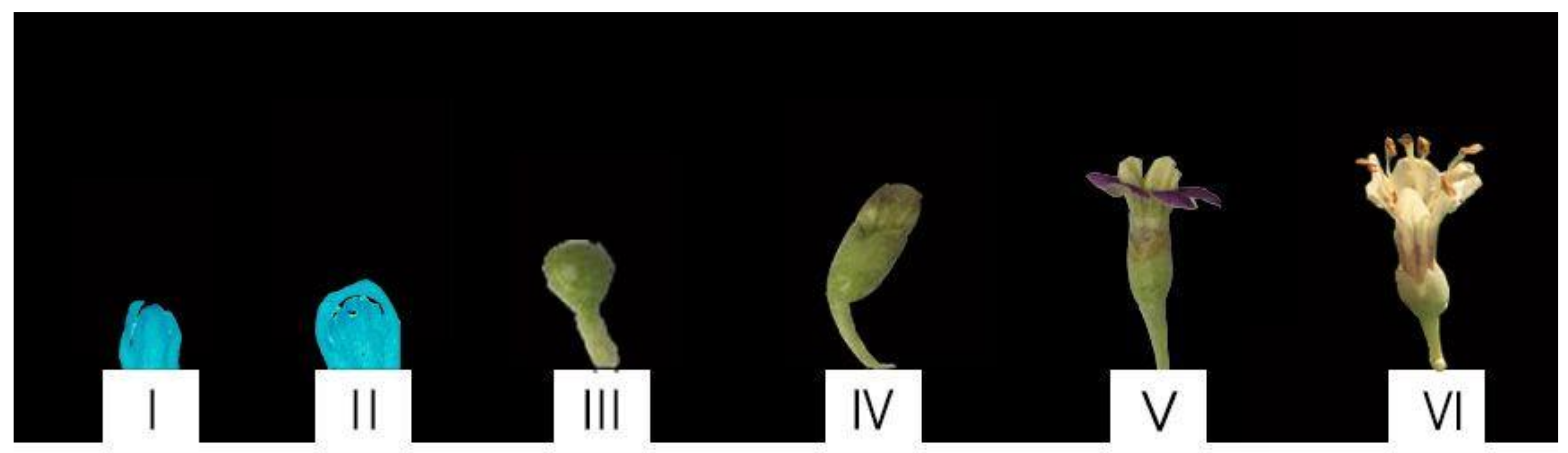 Forests 13 00763 g001 Forests 13 00763 g001