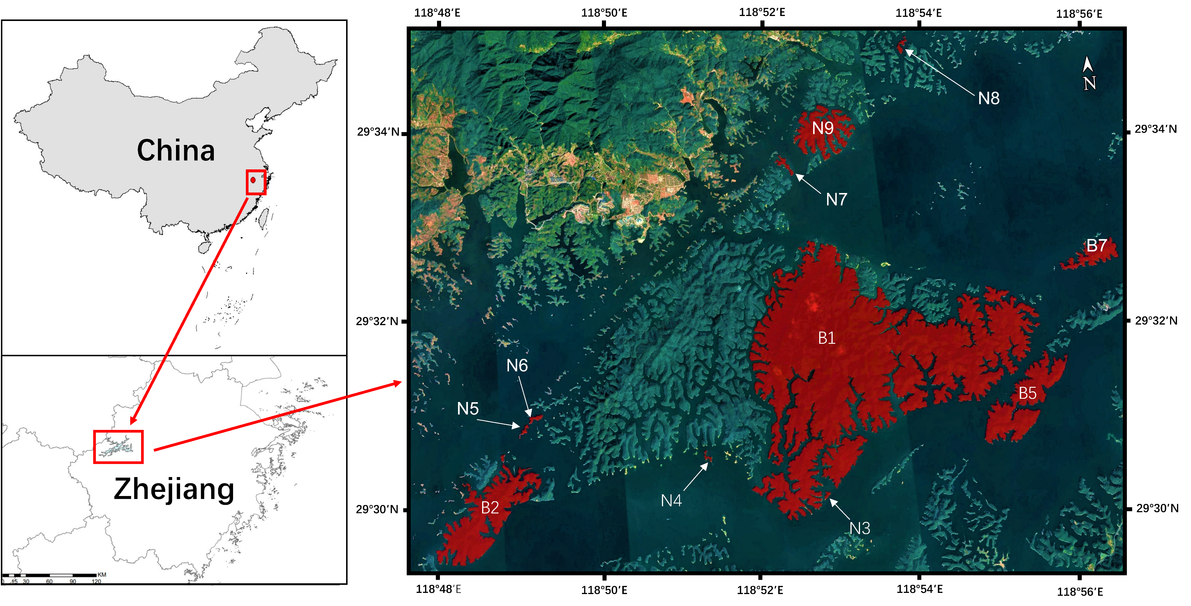 Forests 13 00767 g001
