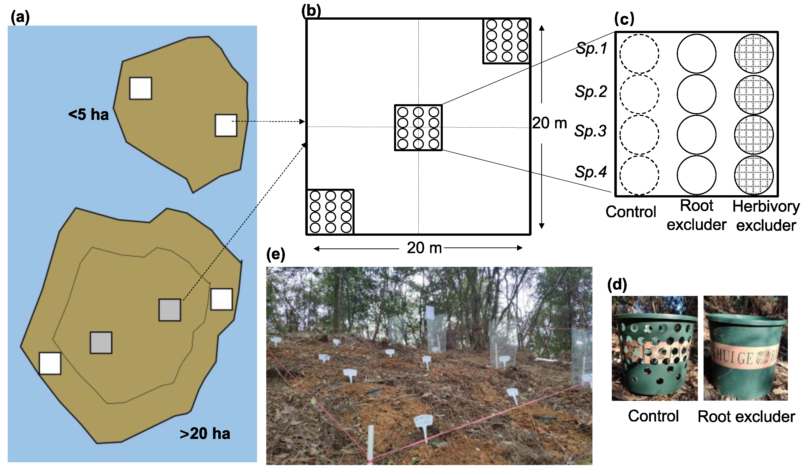 Forests 13 00767 g002