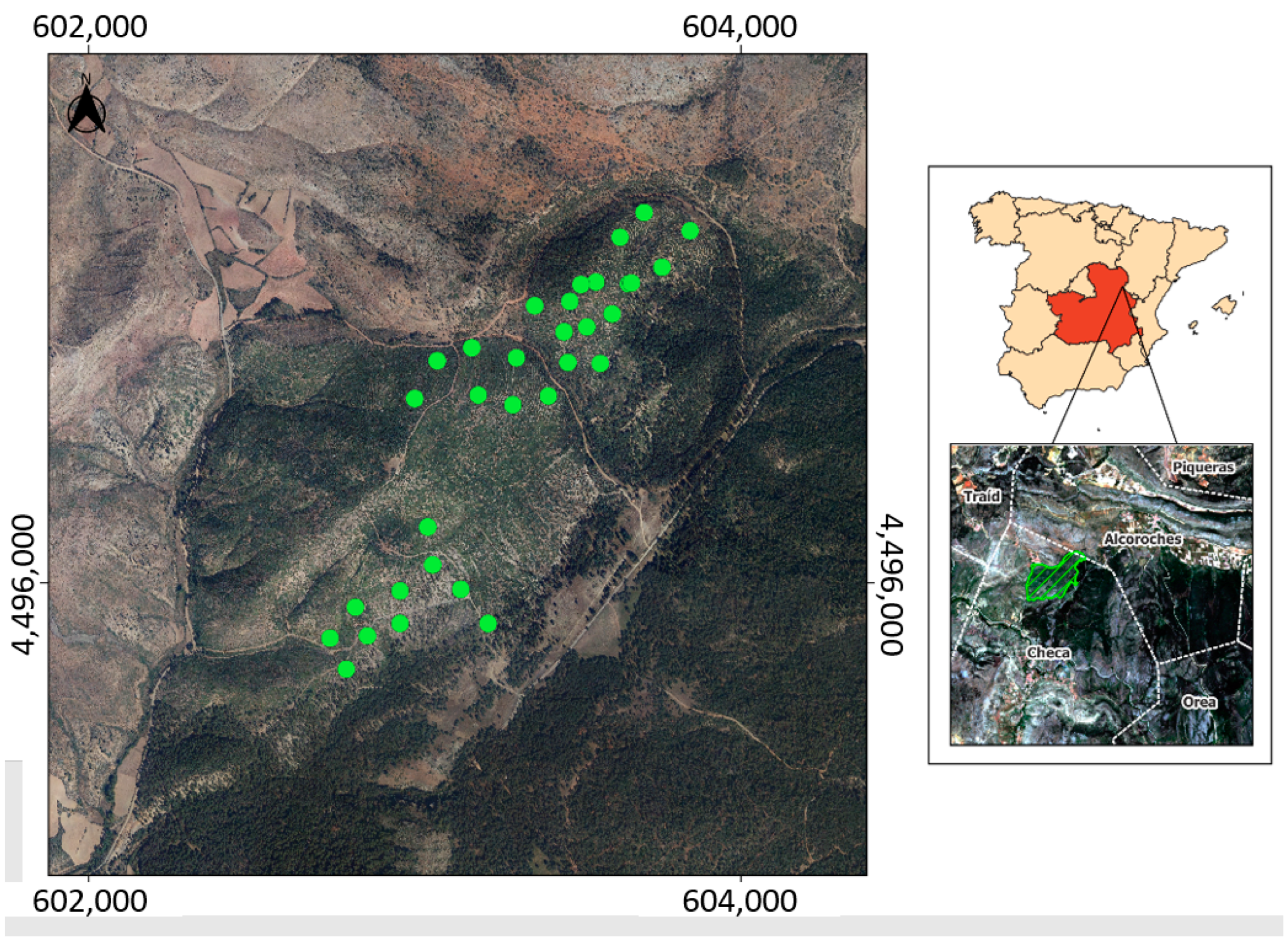 Forests 13 00771 g001 550