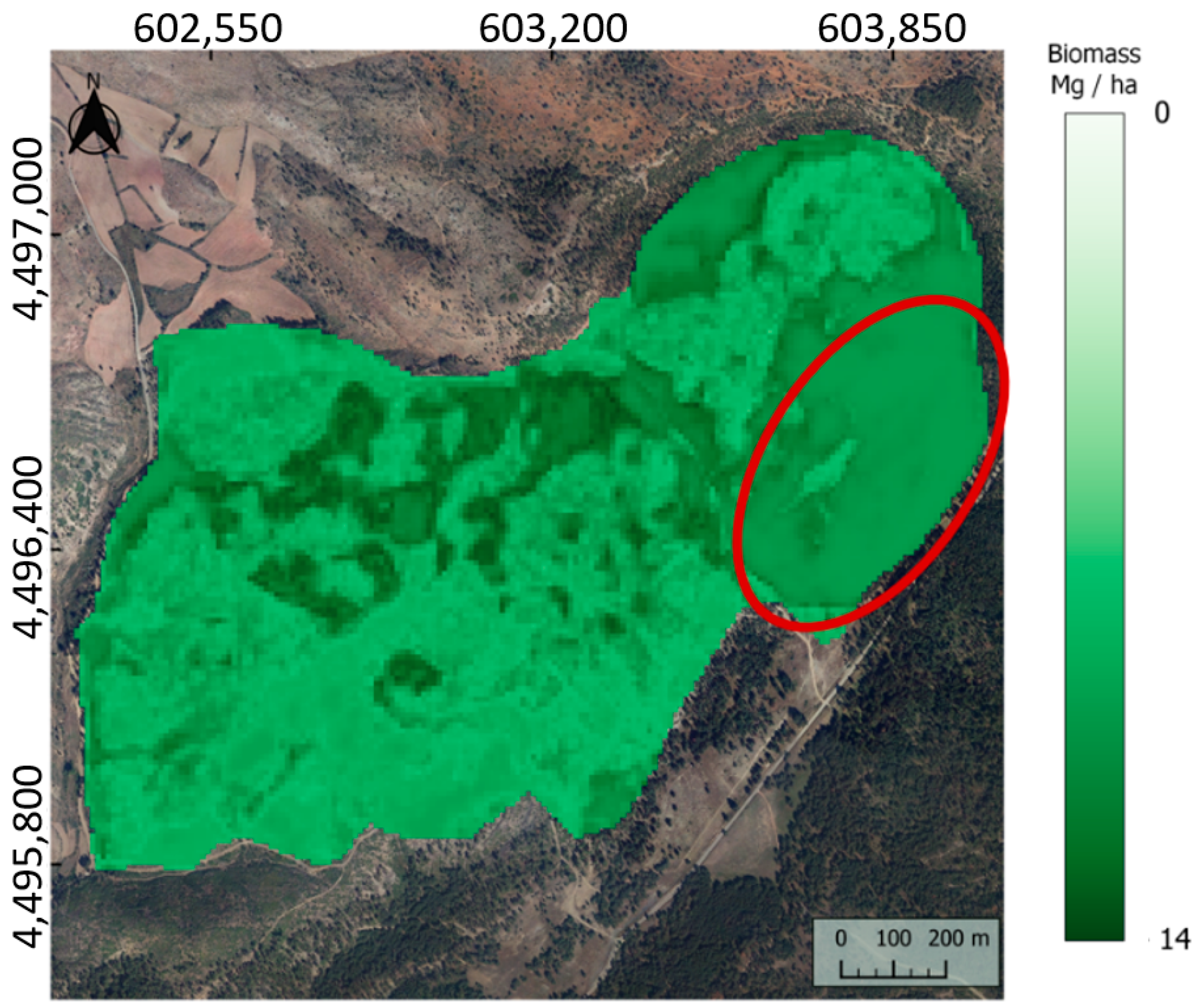 Forests 13 00771 g007 550