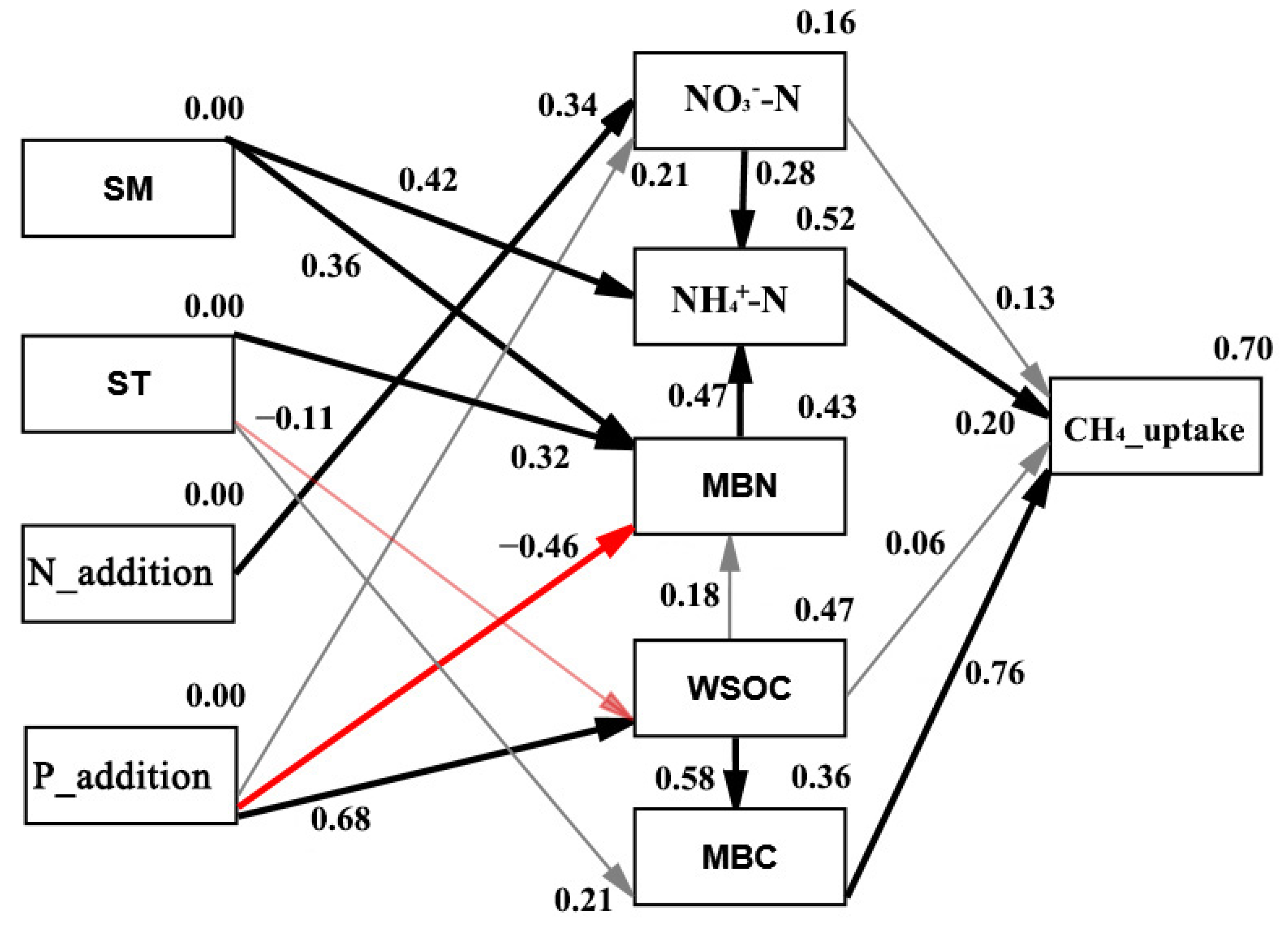 Forests 13 00772 g005 Forests 13 00772 g005