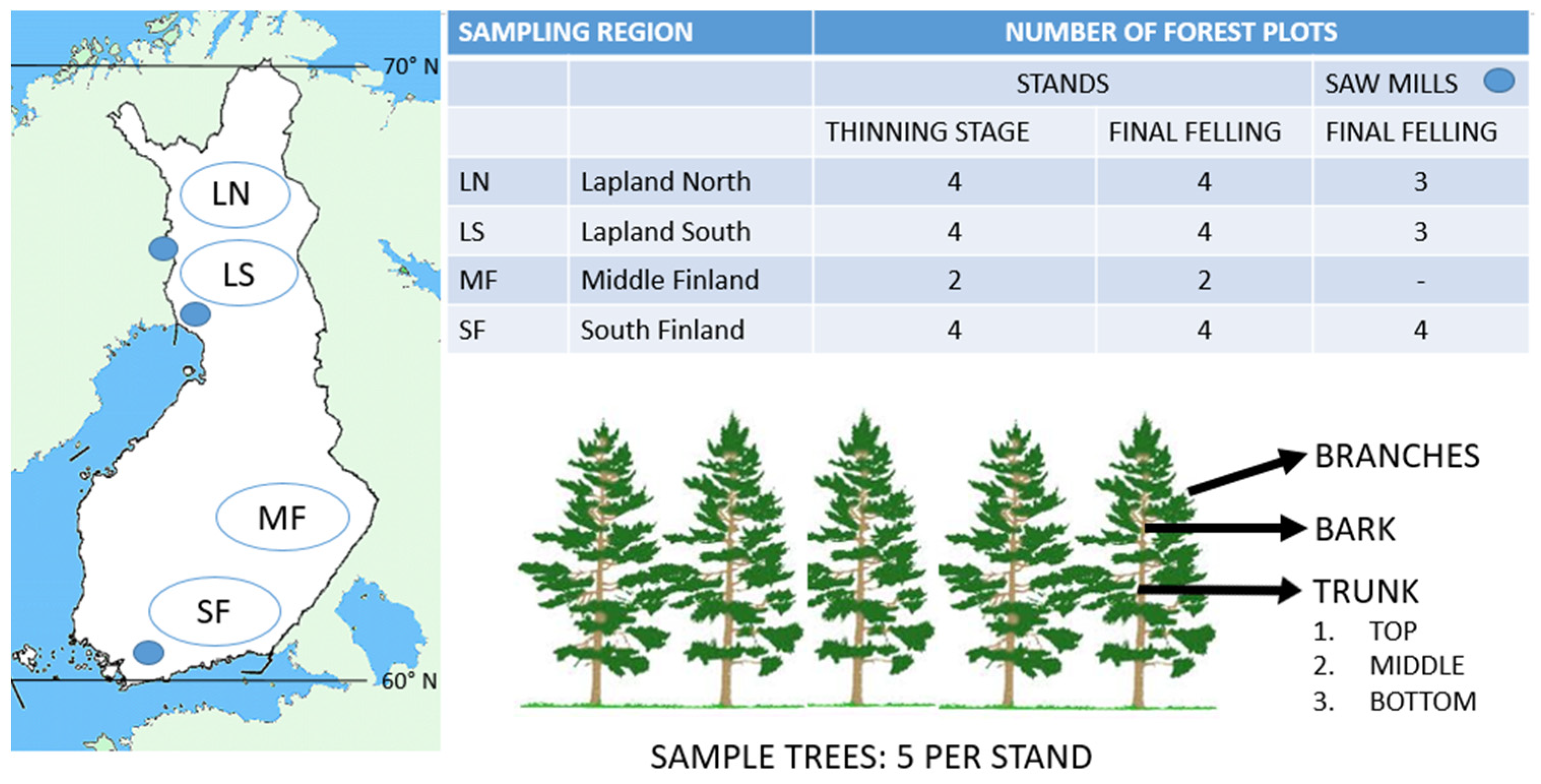 Forests 13 00779 g001