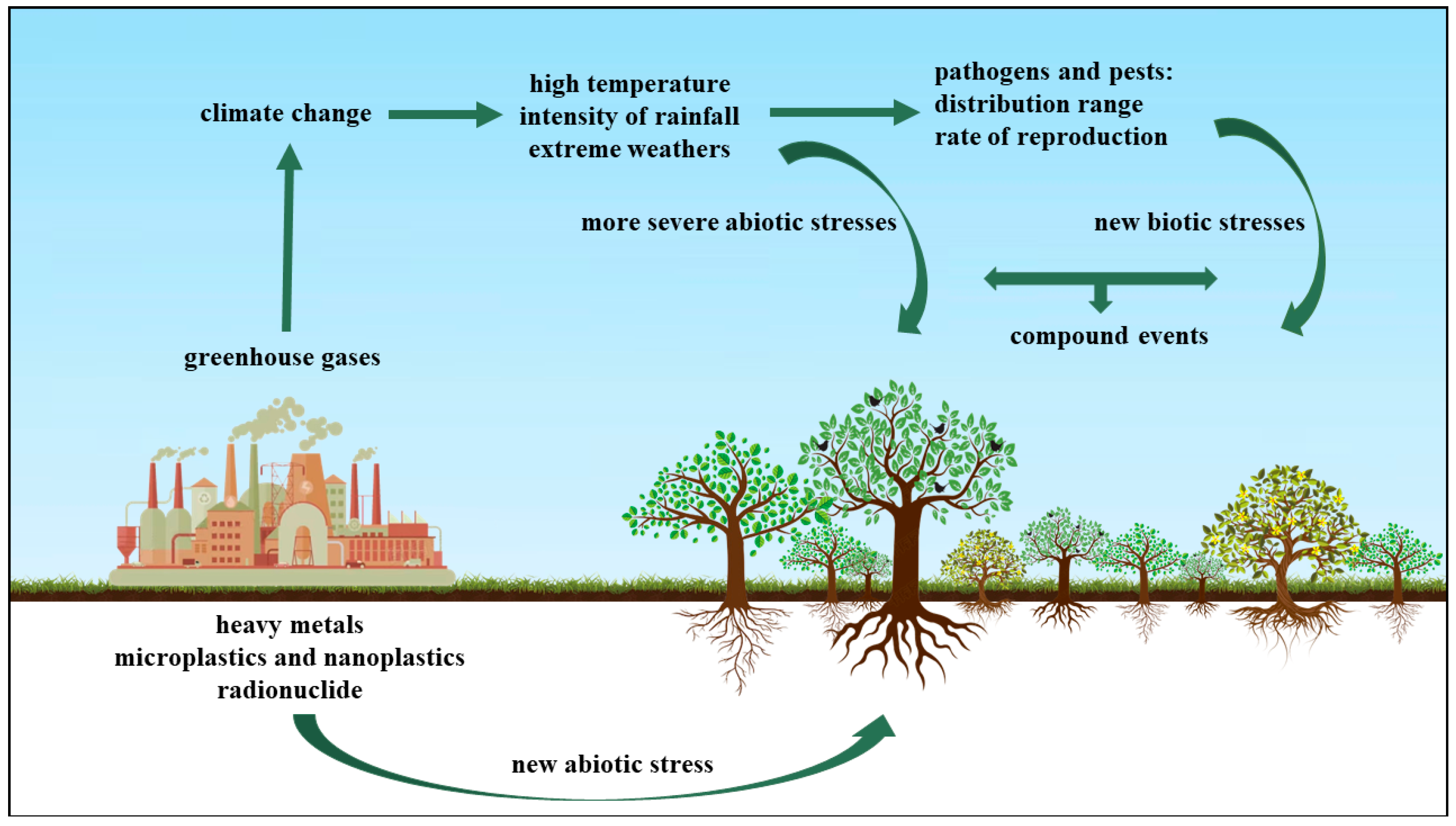 Forests 13 00780 g001 550