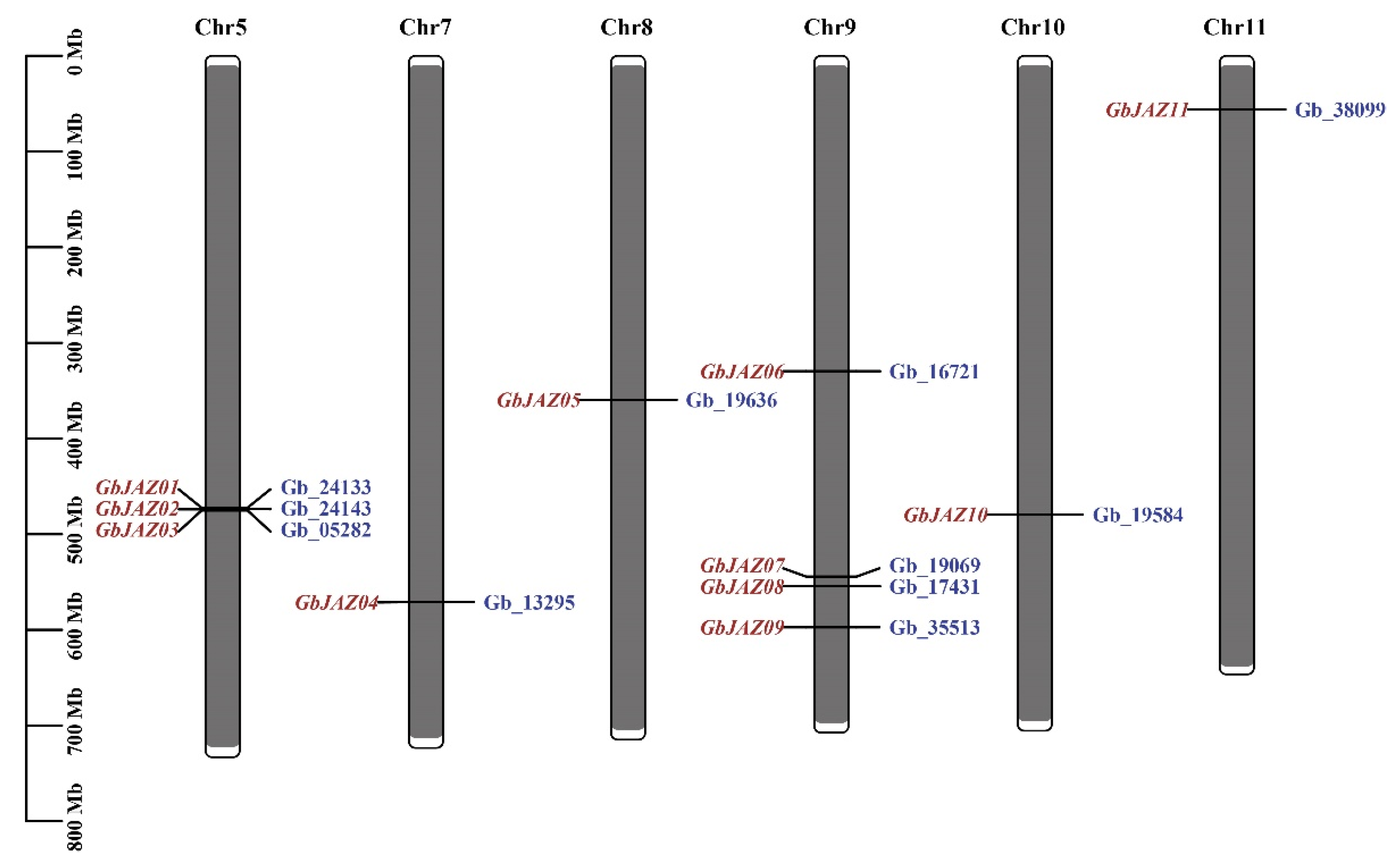 Forests 13 00781 g001