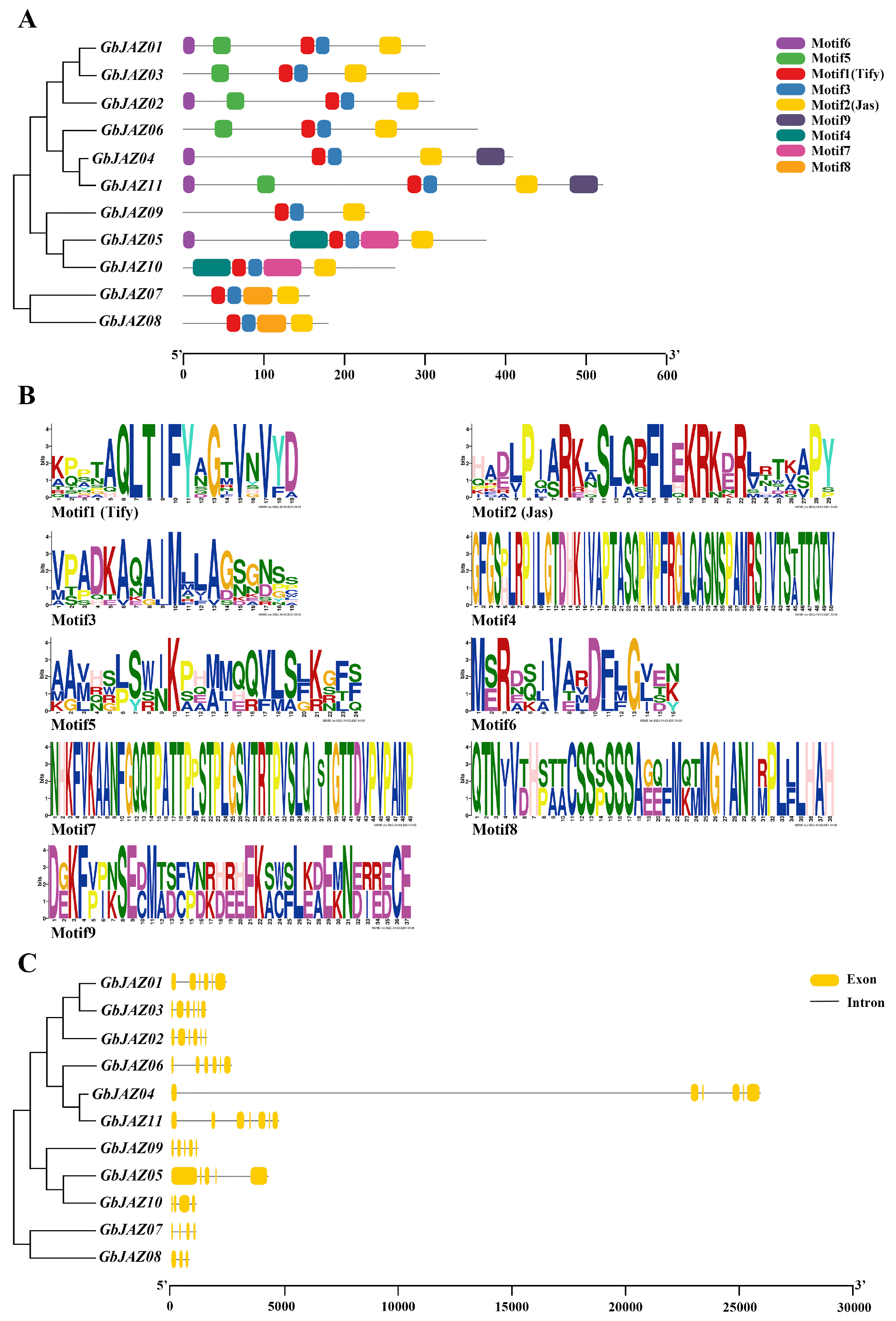 Forests 13 00781 g002