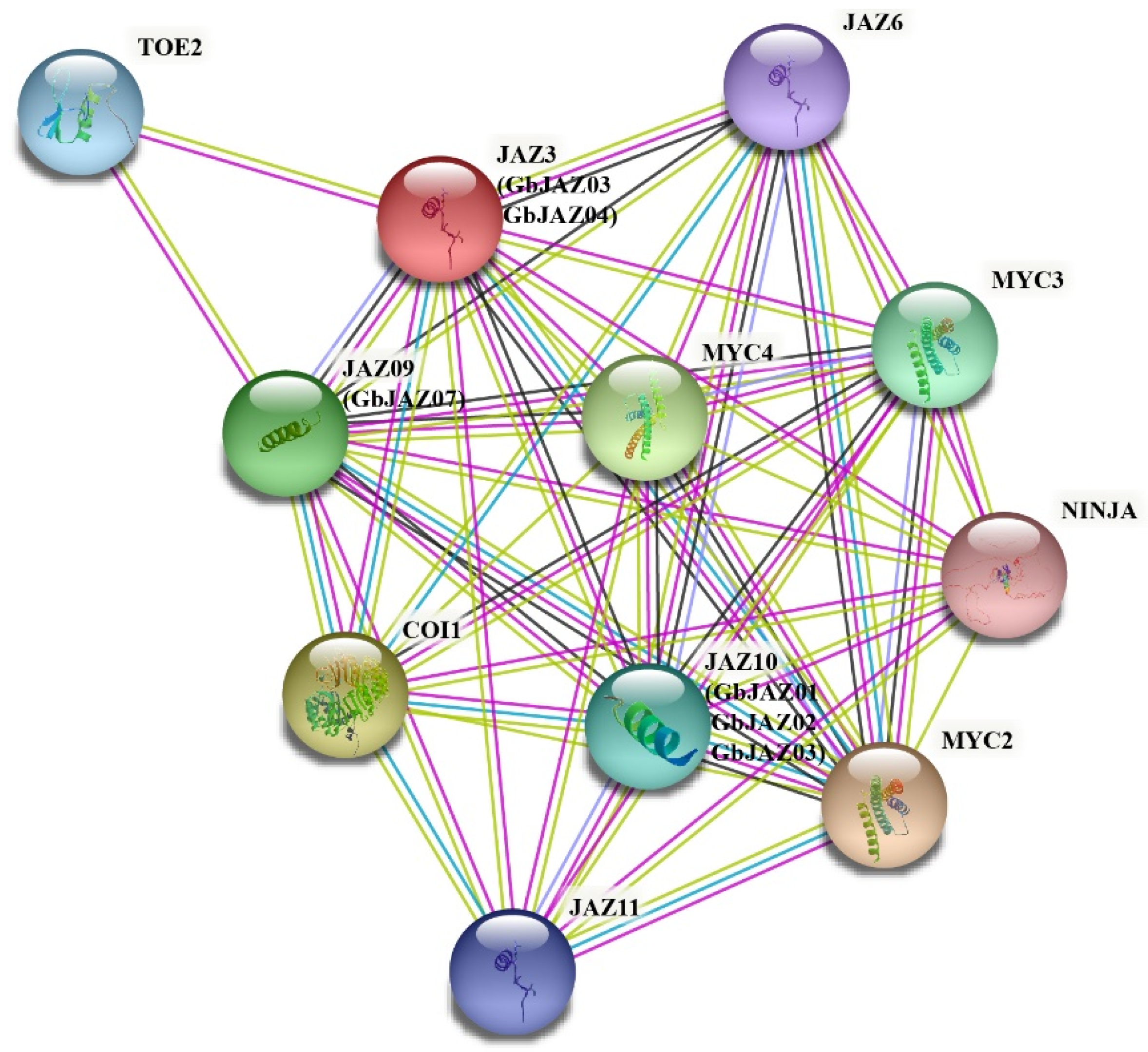 Forests 13 00781 g007