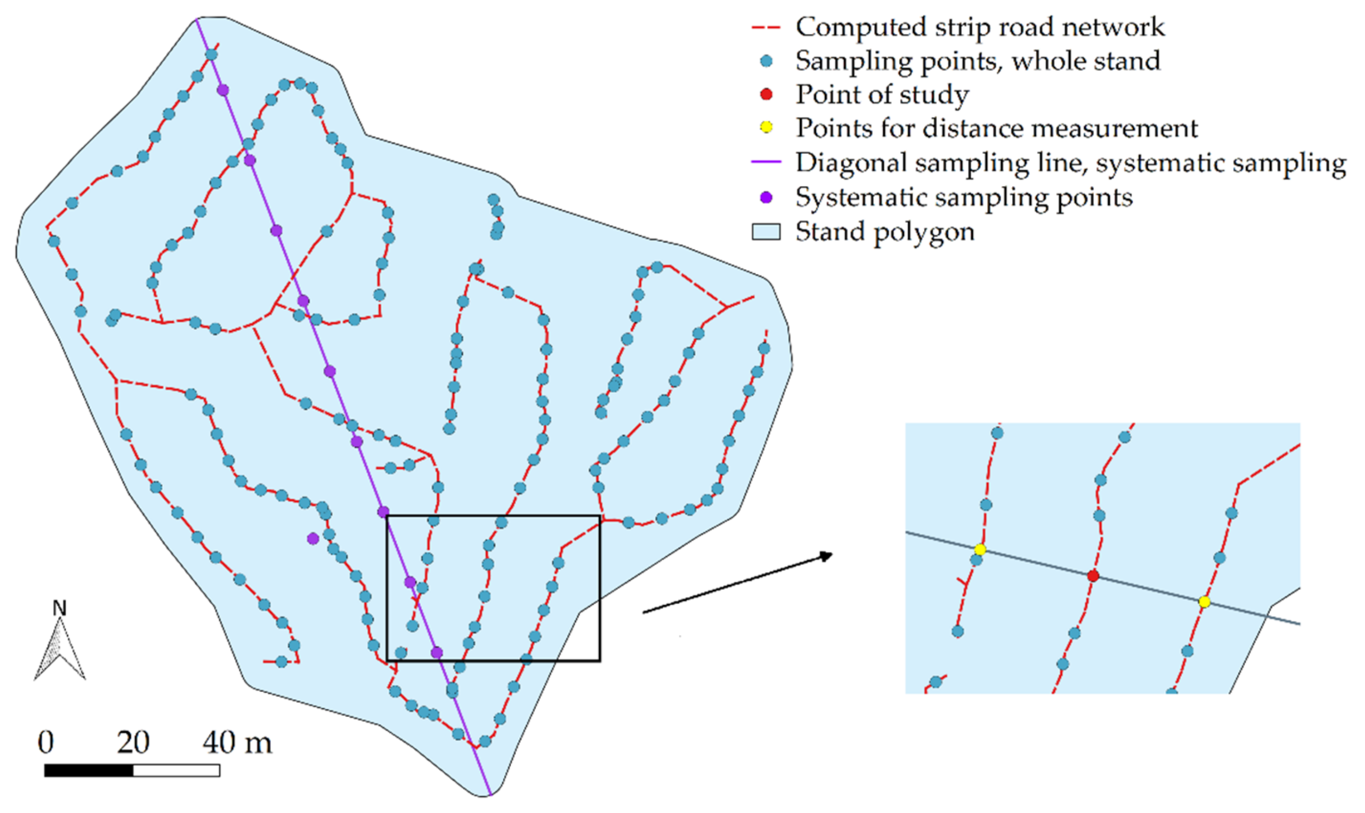 Forests 13 00782 g006 550