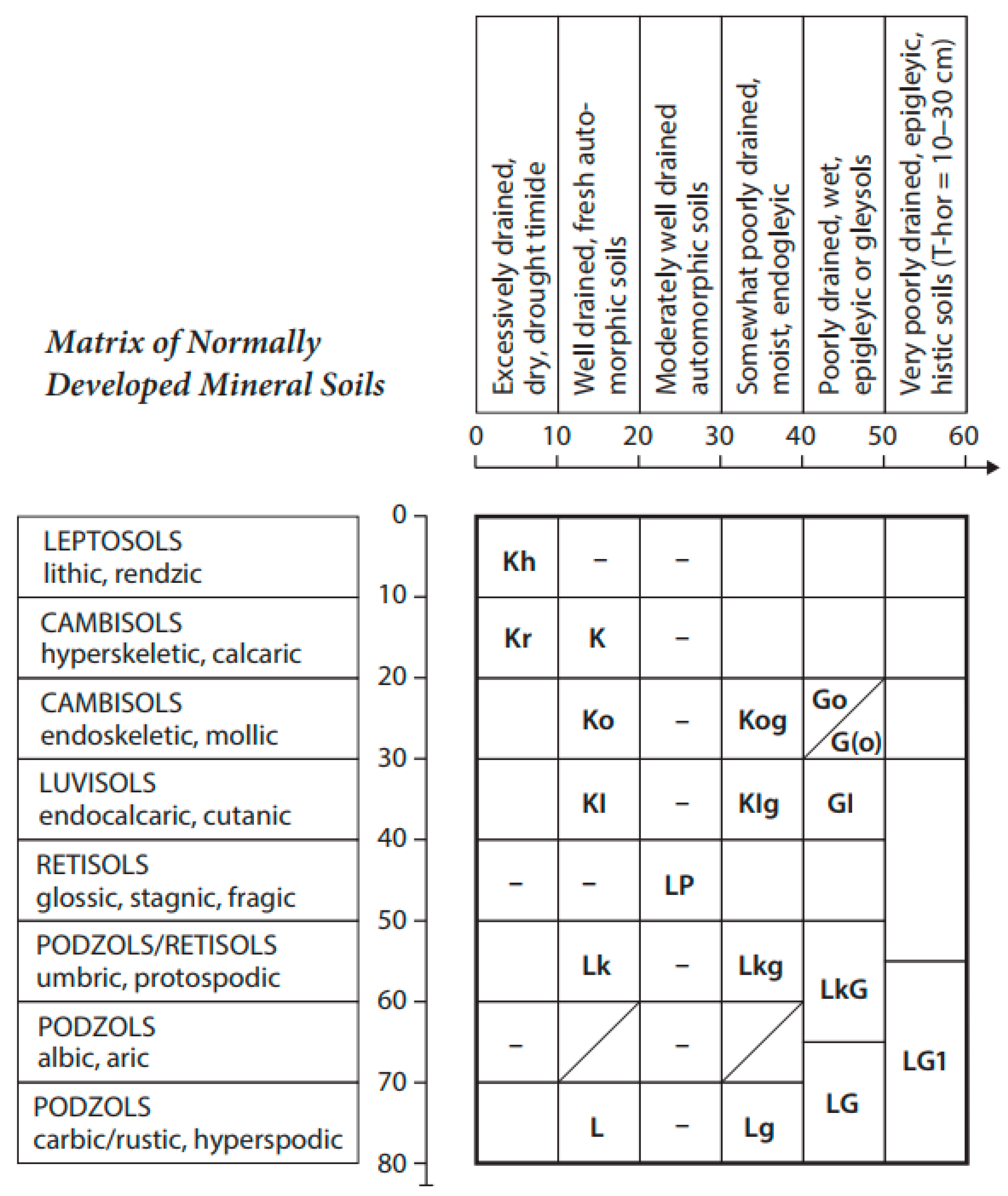Forests 13 00784 g001