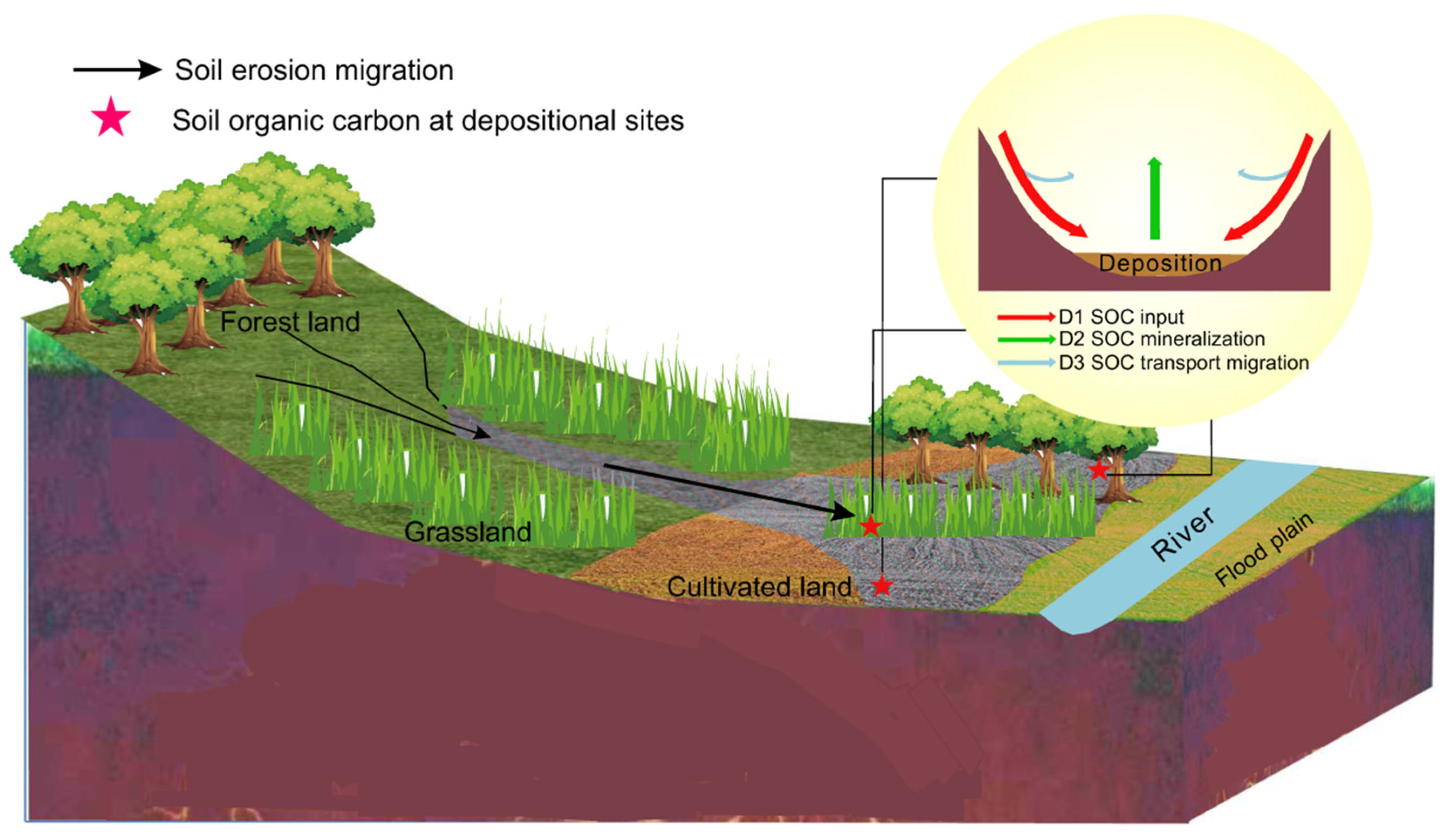 Forests 13 00785 g002