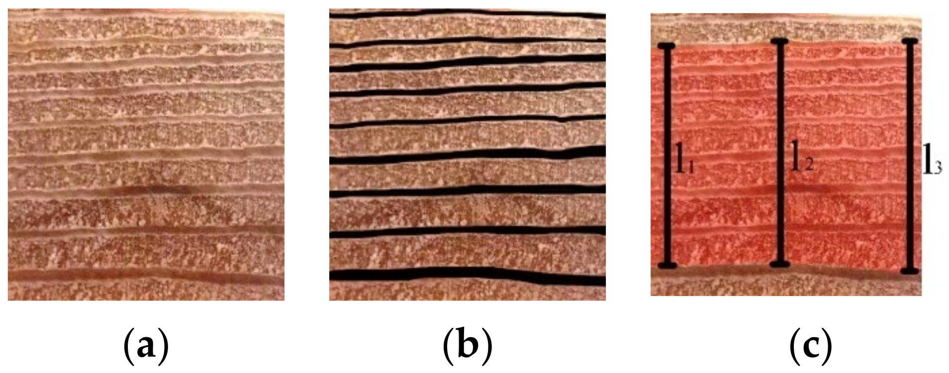 Forests 13 00797 g001 Forests 13 00797 g001