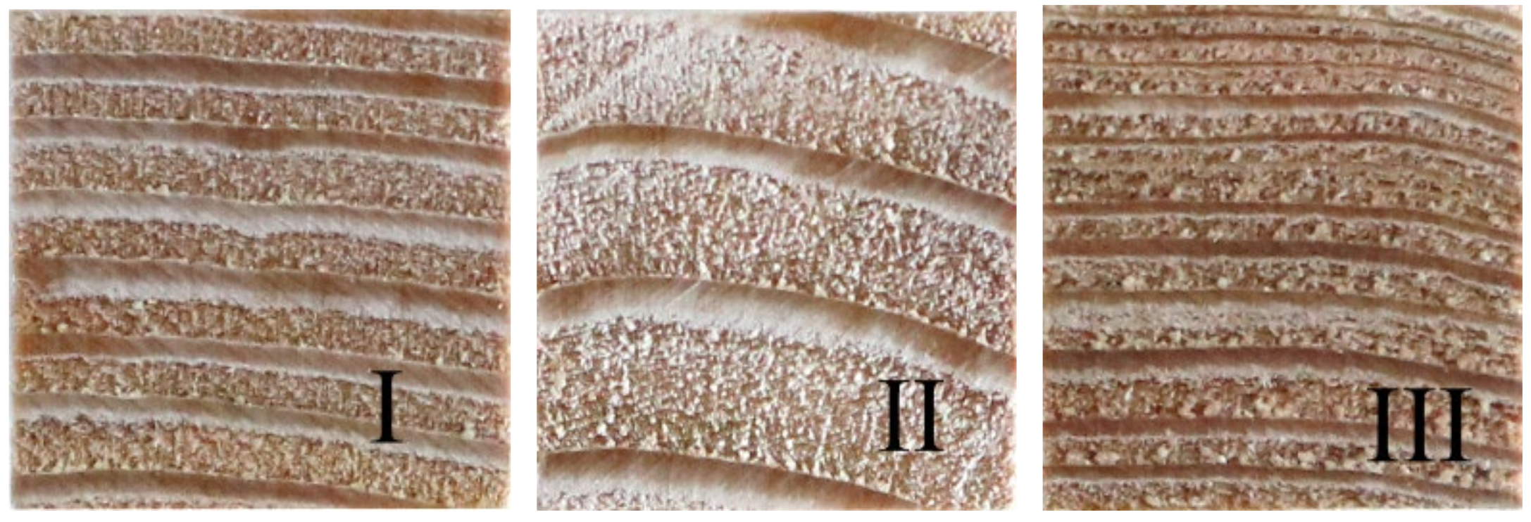 Forests 13 00797 g003 Forests 13 00797 g003