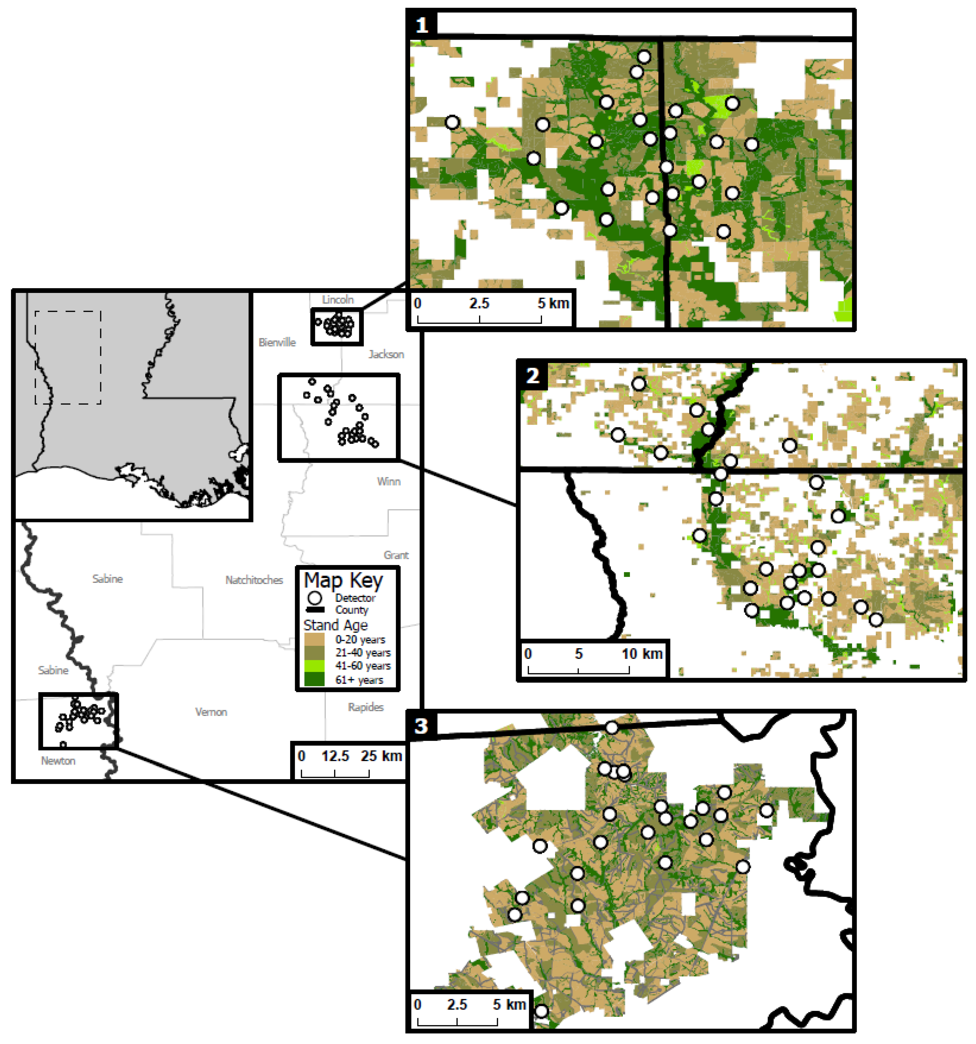 Forests 13 00803 g001 Forests 13 00803 g001