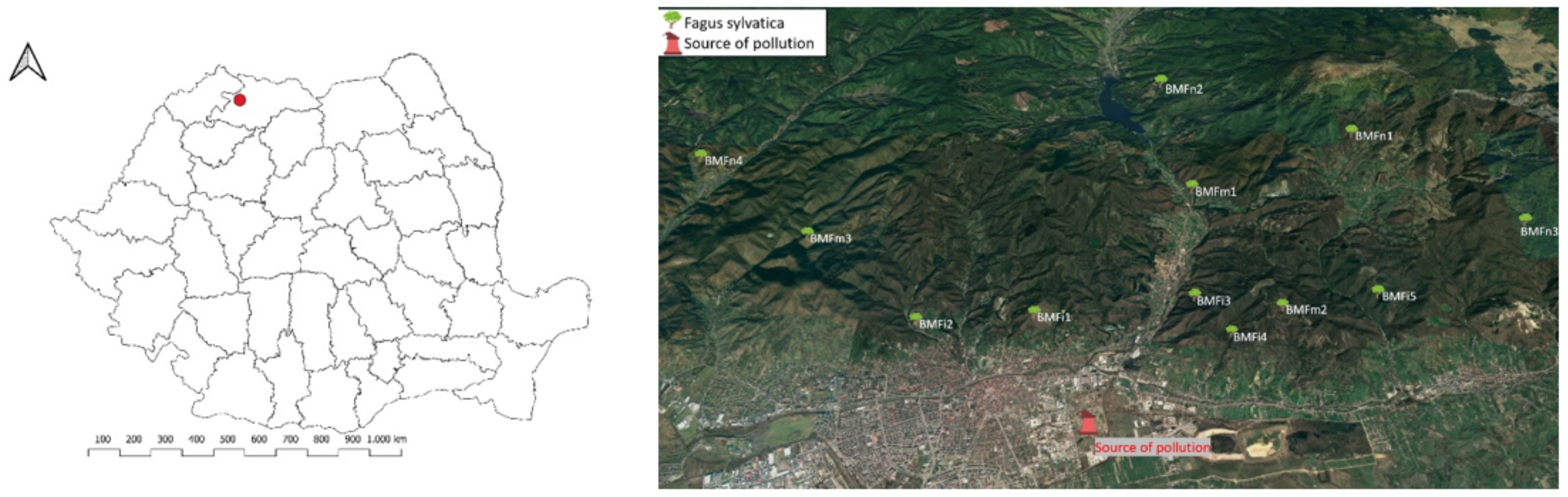 Forests 13 00807 g001 550