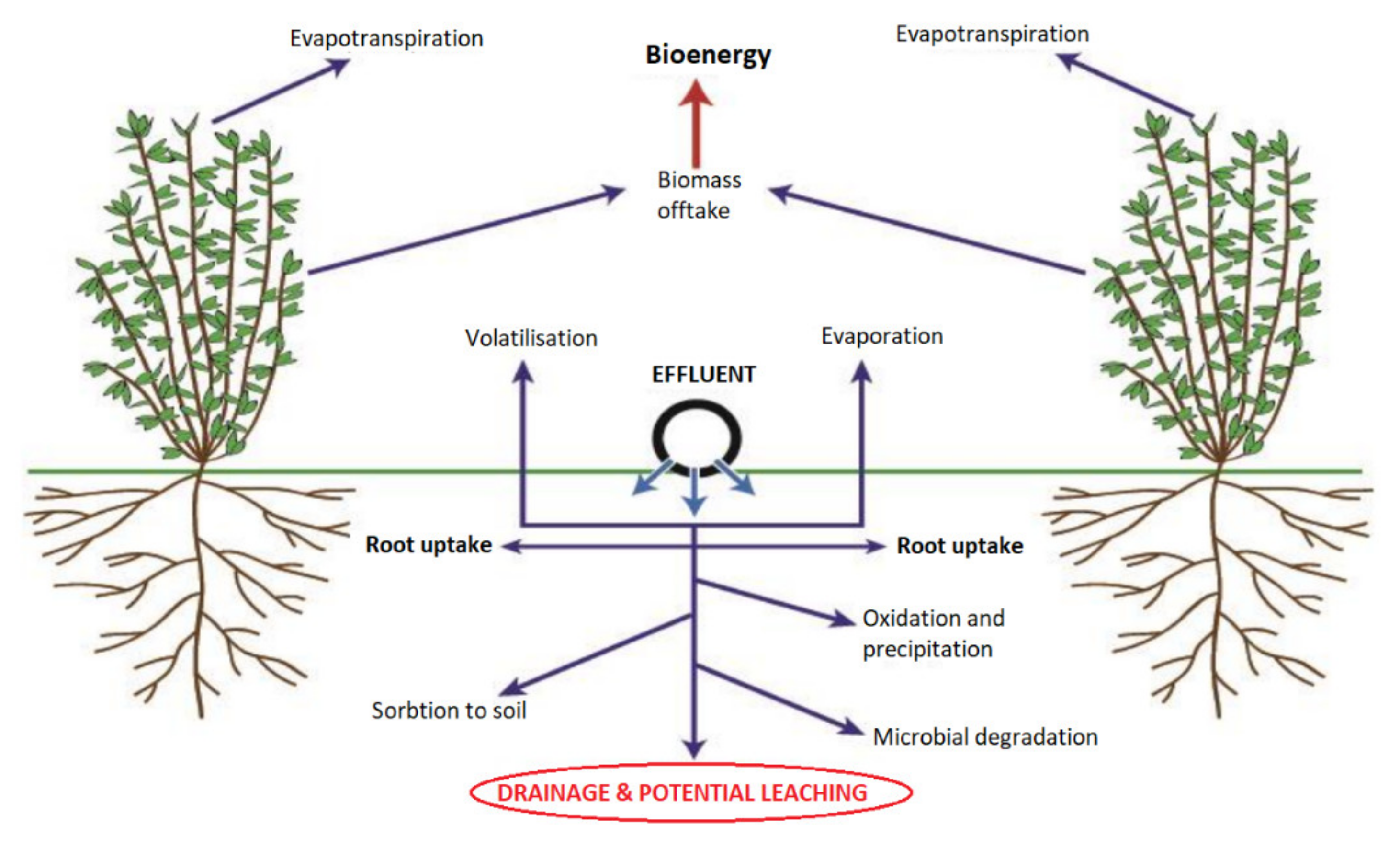 Forests 13 00810 g001