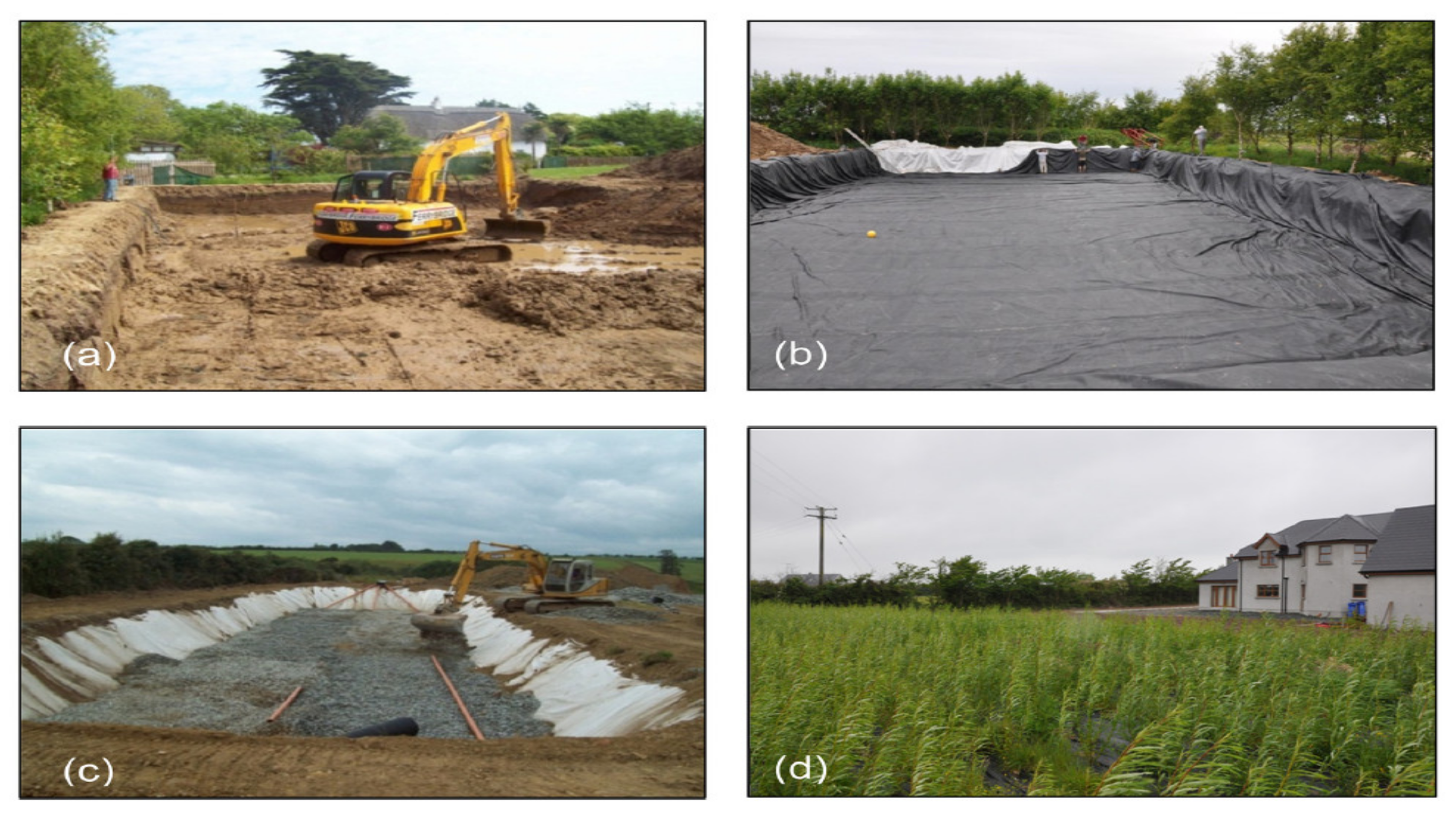 Forests 13 00810 g003