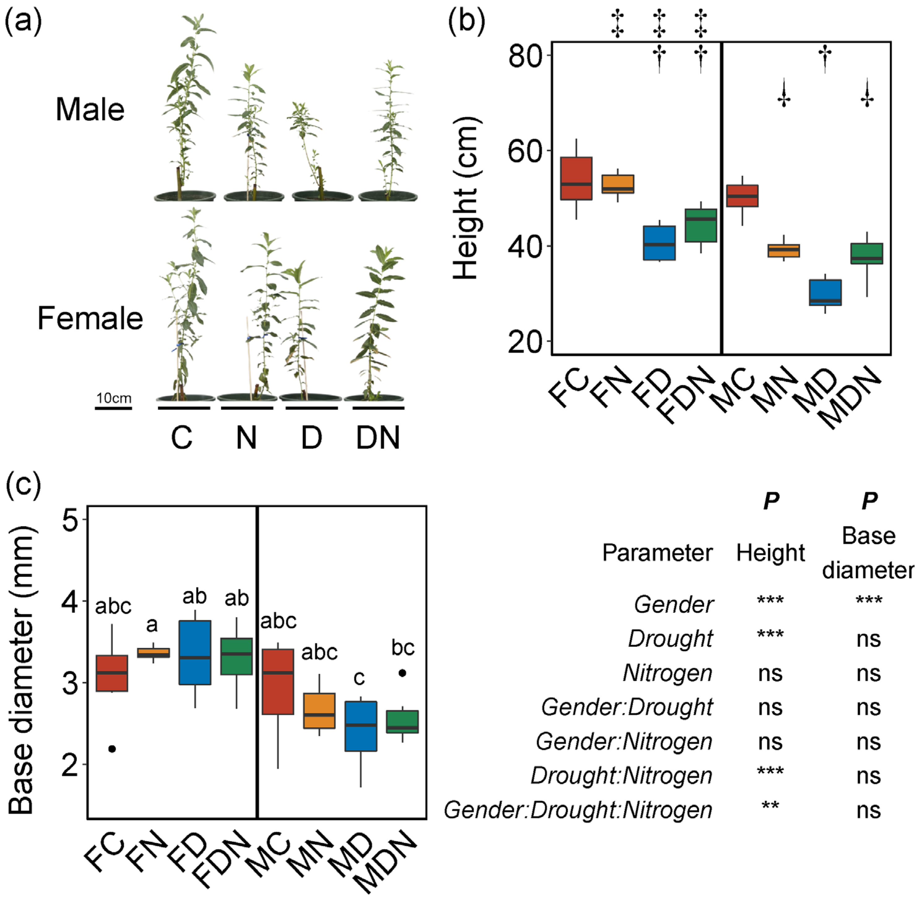 Forests 13 00821 g001 Forests 13 00821 g001