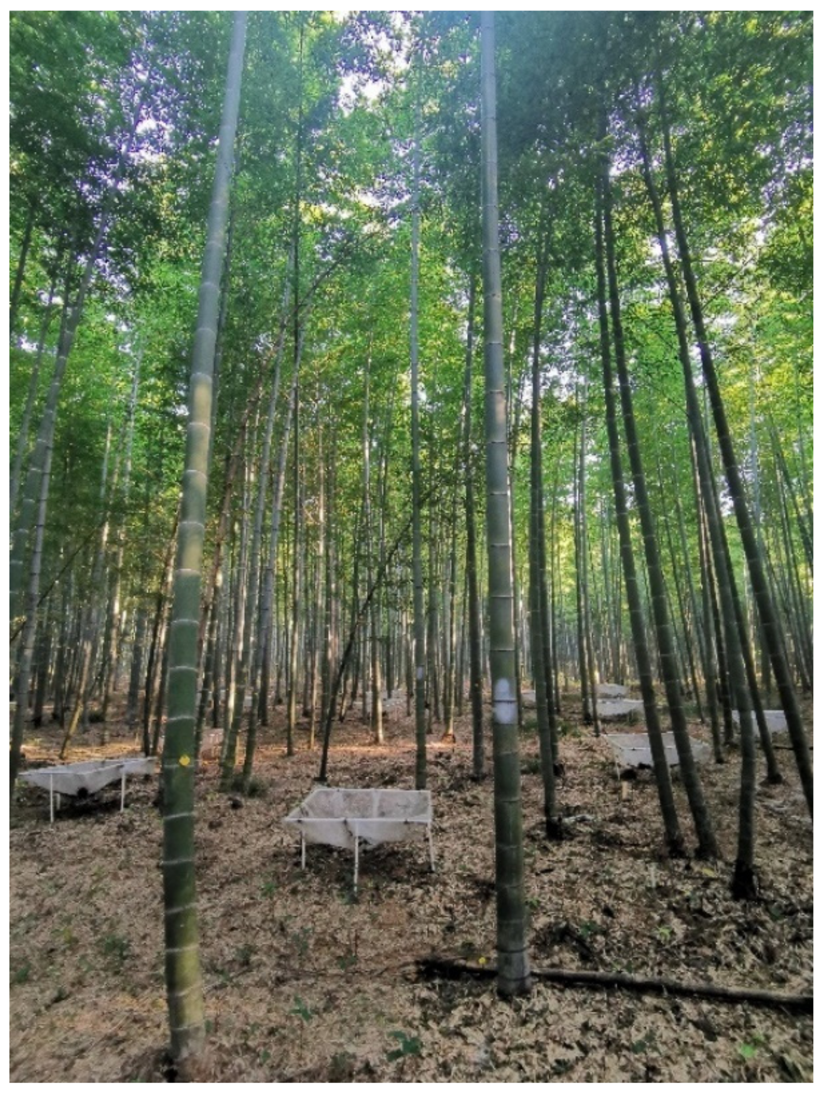 Forests 13 00823 g002