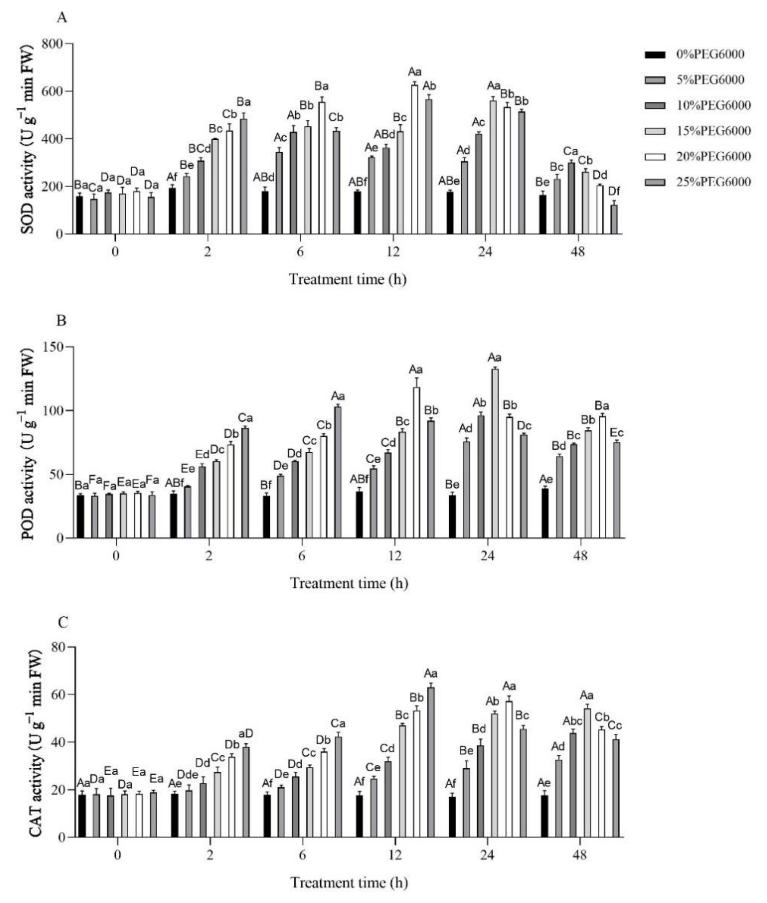 Forests 13 00836 g006 Forests 13 00836 g006