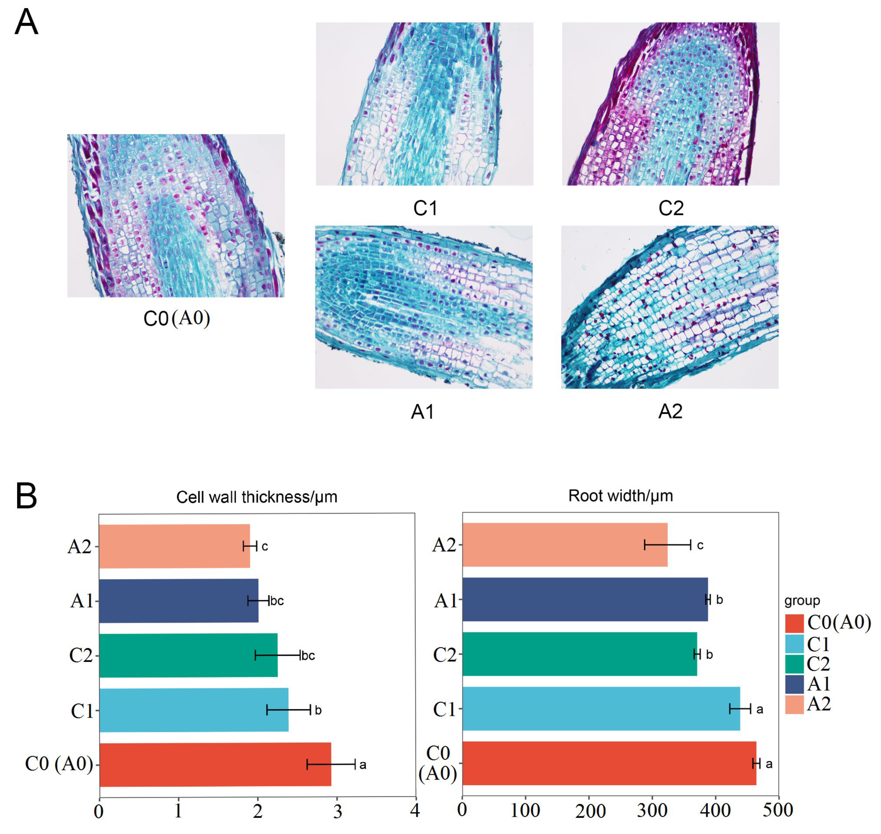 Forests 13 00837 g001