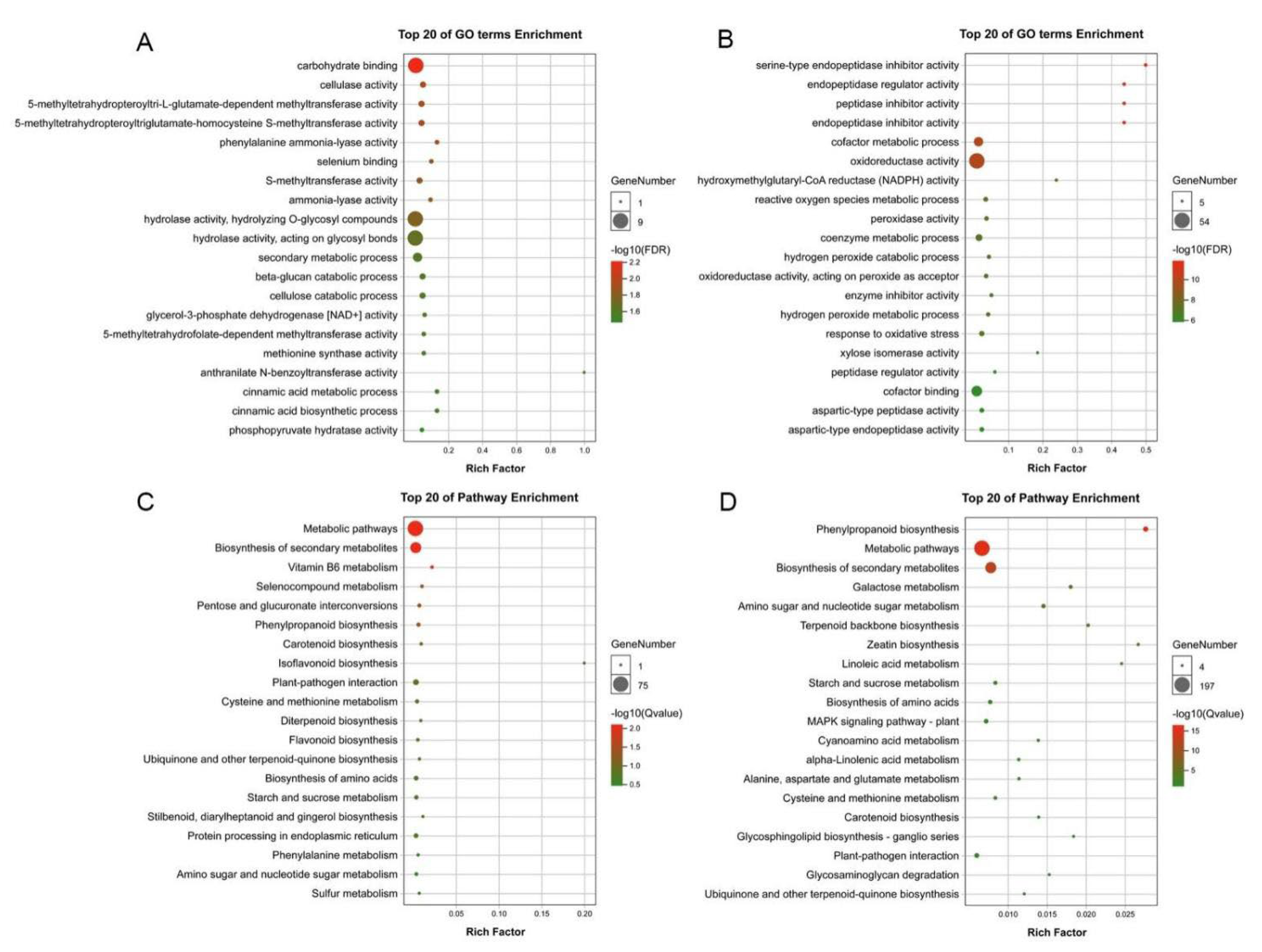 Forests 13 00837 g004