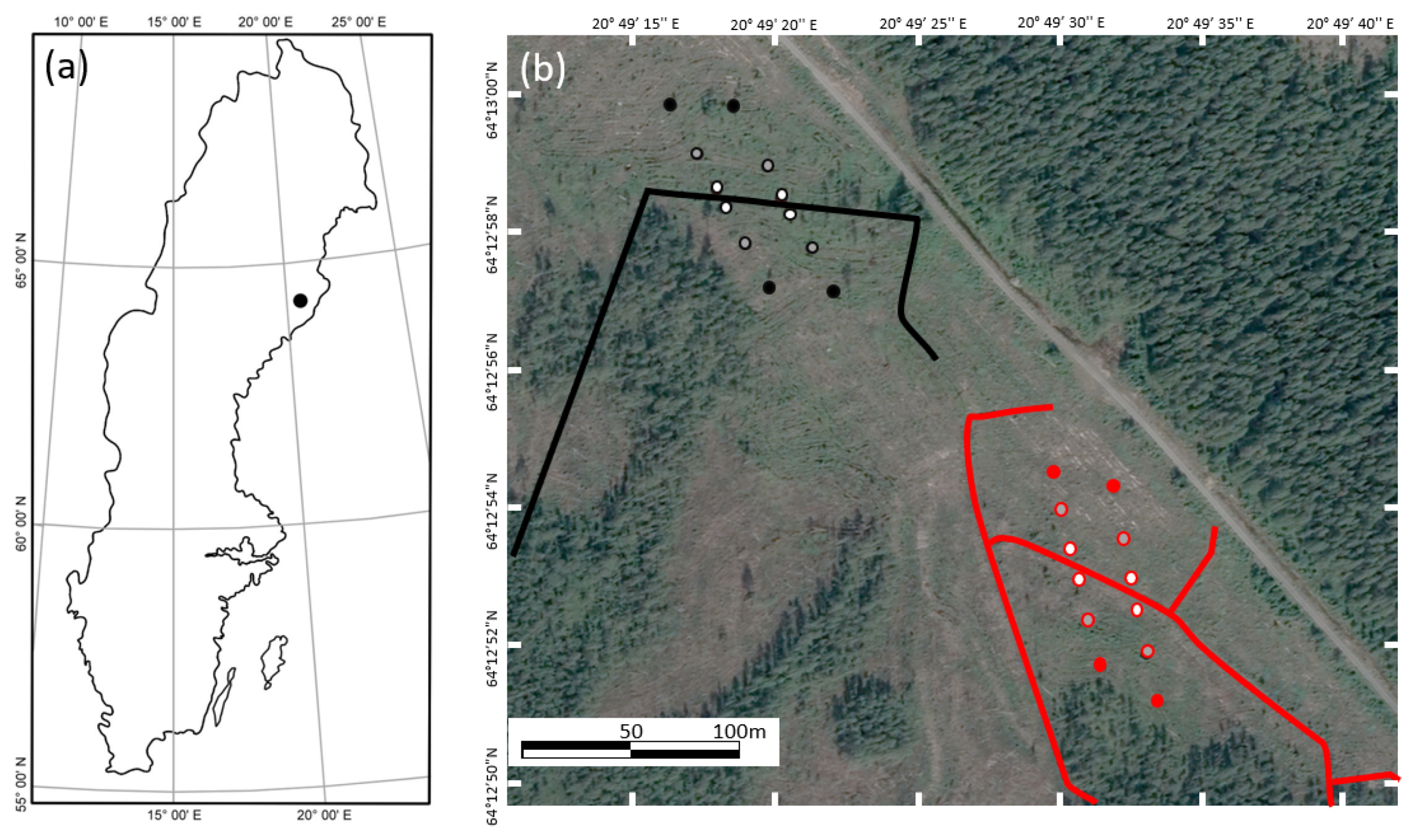 Forests 13 00842 g001 550